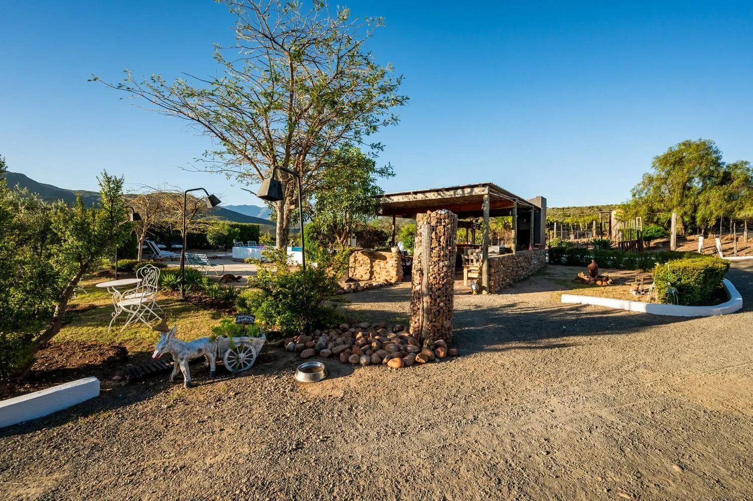 Garden in Le Petit Karoo