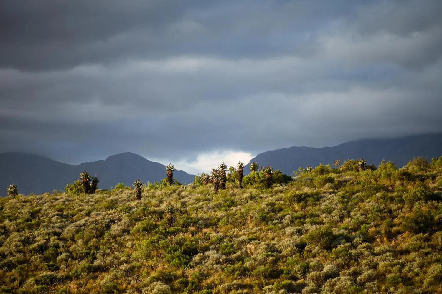 View (from property/room) in Le Petit Karoo
