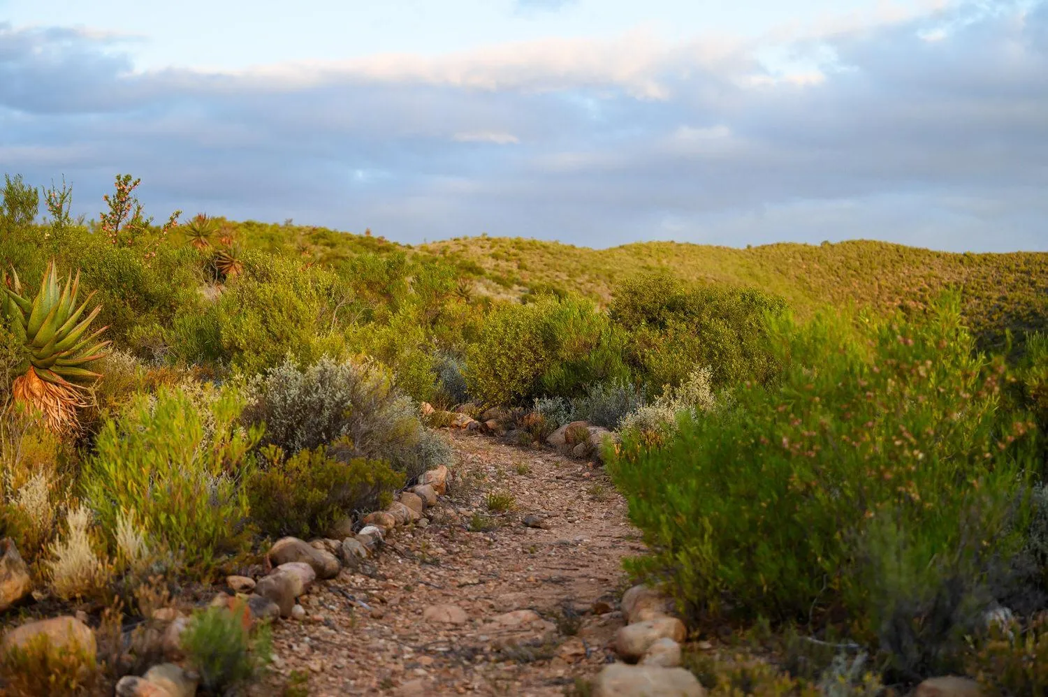 Hiking in Le Petit Karoo