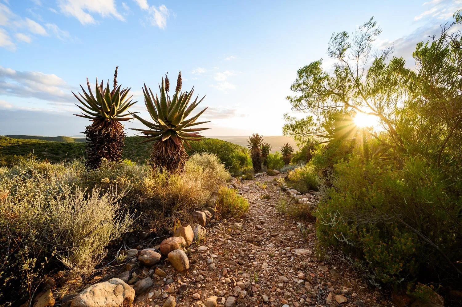 Hiking in Le Petit Karoo