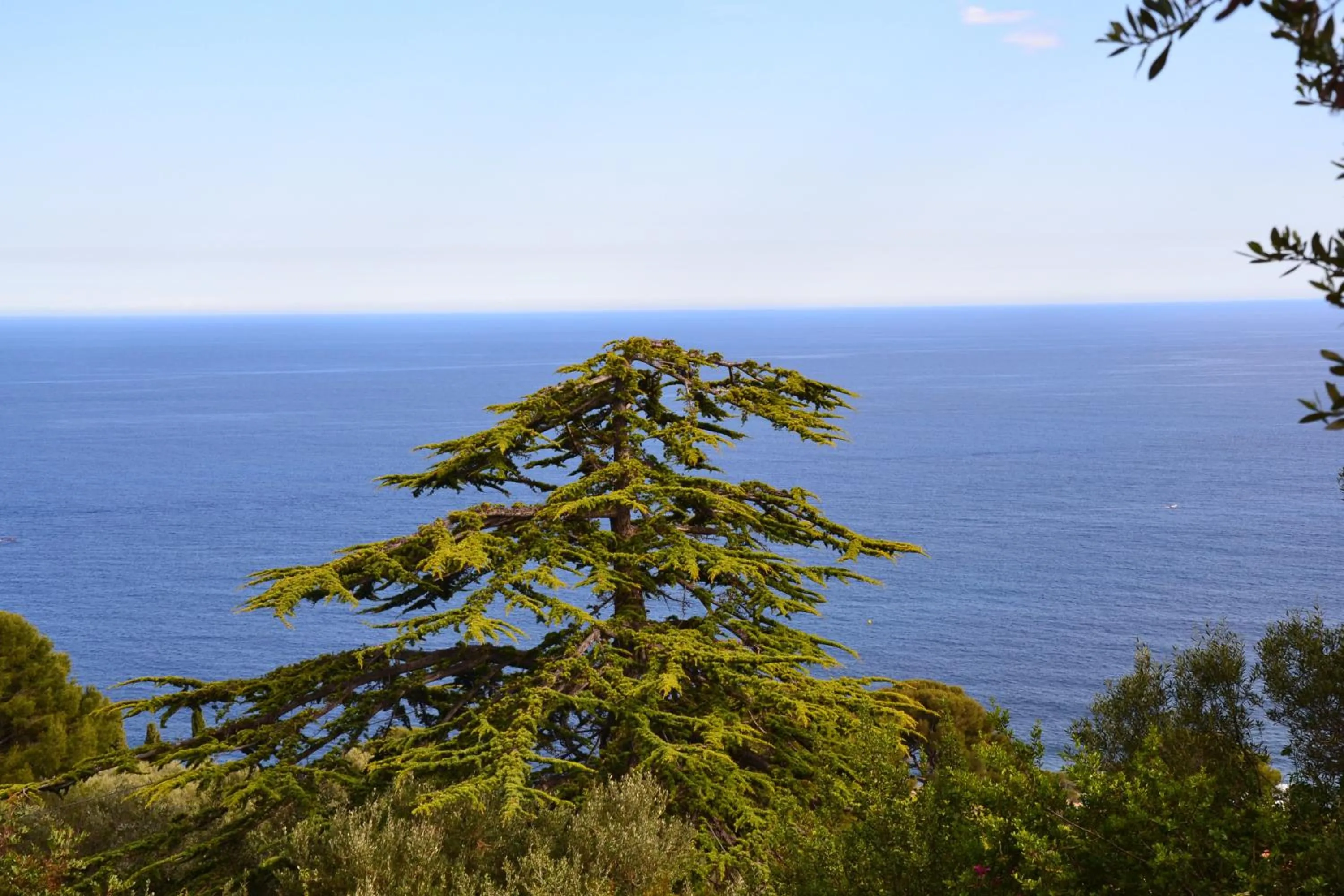 Day in Villa Azur Cap d'Ail