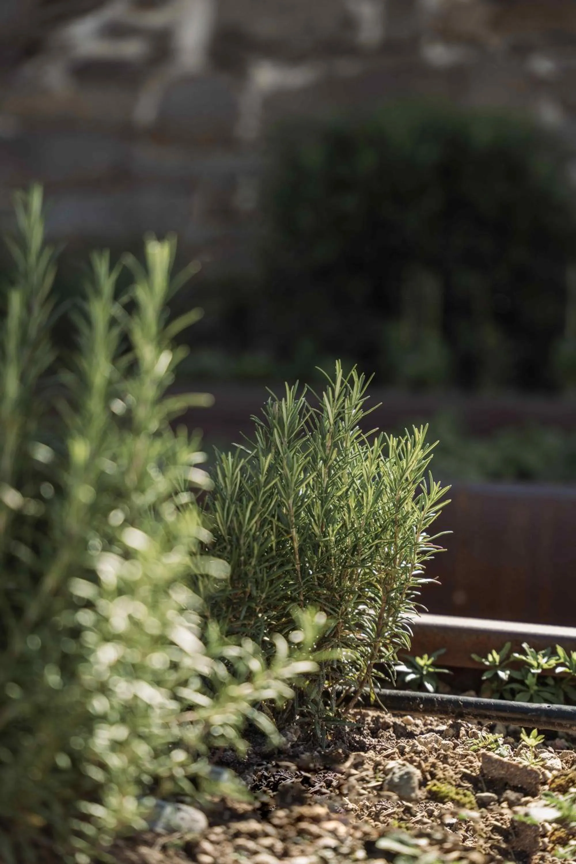 Natural landscape in Gasthof Kohlern 1130 m