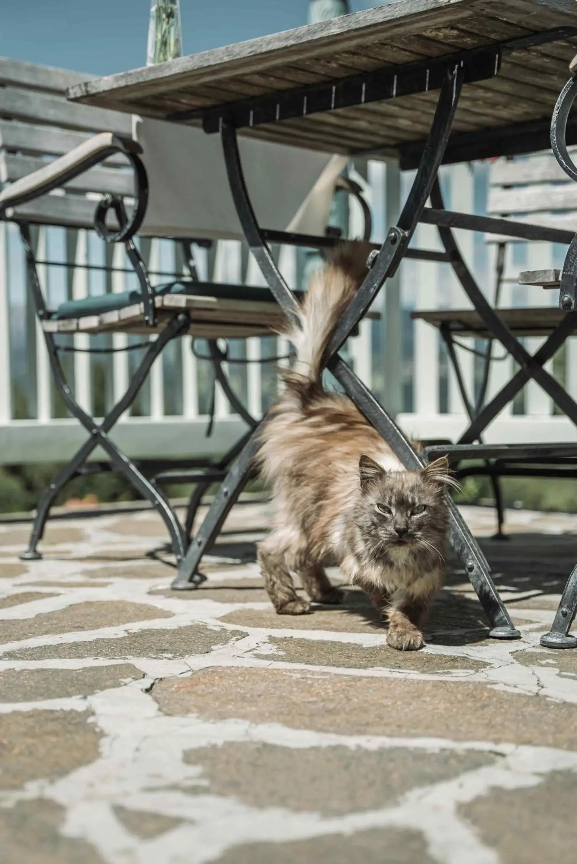 Property building in Gasthof Kohlern 1130 m Property building in Gasthof Kohlern 1130 m