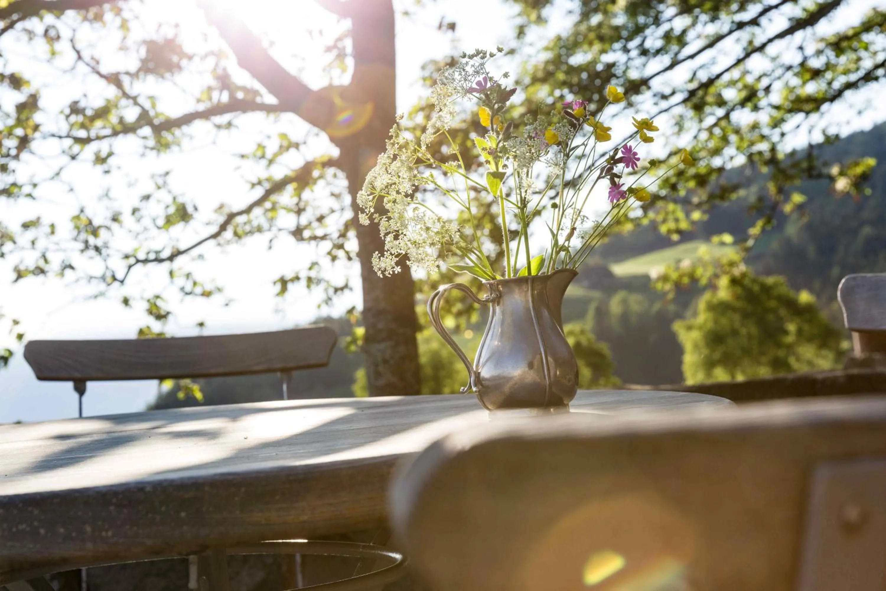 Day in Gasthof Kohlern 1130 m