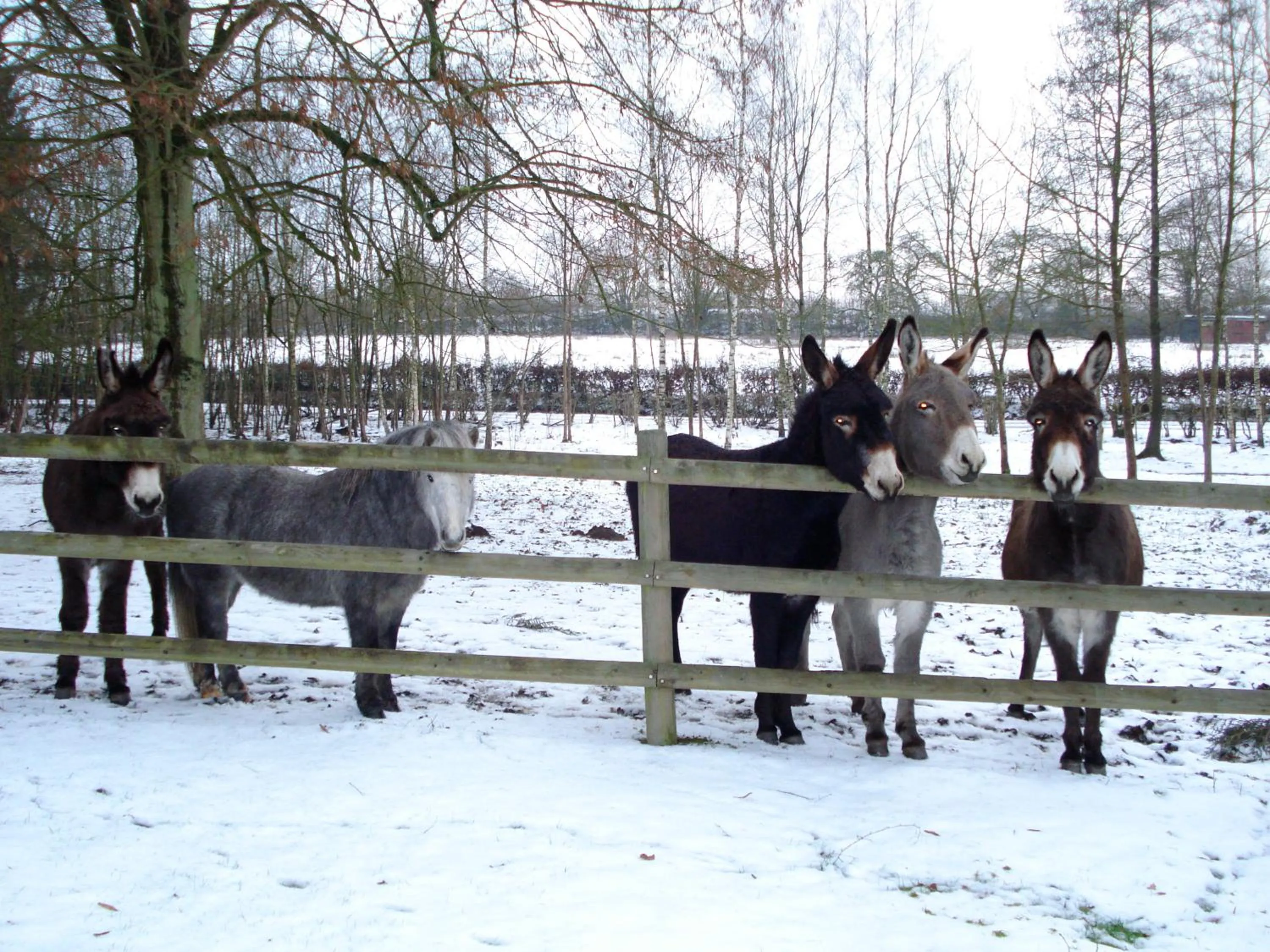 LOGIS - Château de la Motte - Hôtel & Restaurant