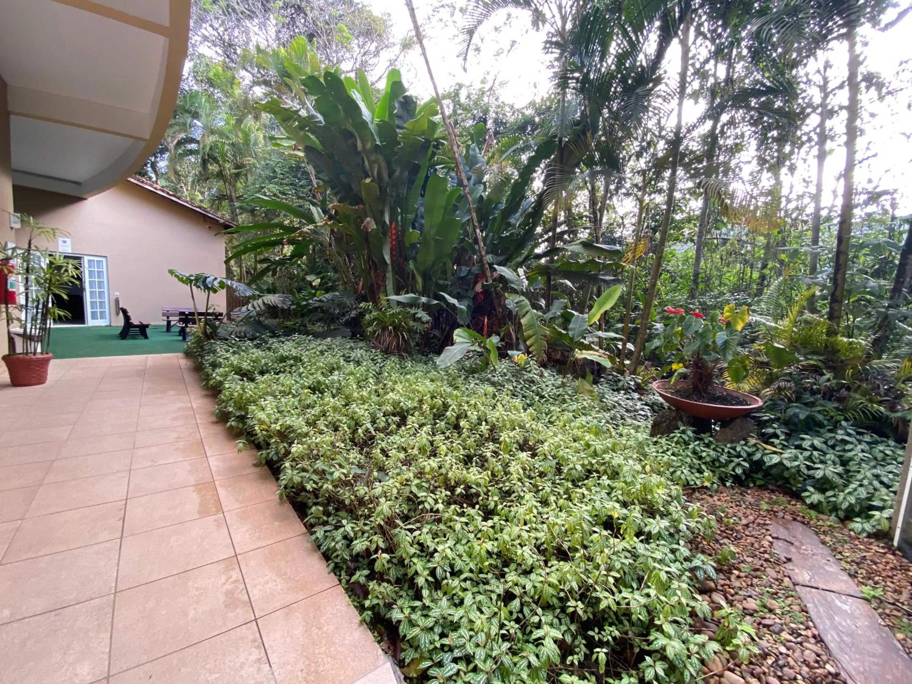 Natural landscape in Flat estudio 110 Amarilis Riviera de São Lourenço, 03 piscina climatizada, serviço de hotelaria, limpesa e troca de toalhas diária, carregador veiculo elétrico e servico de praia finais de semana WiFi 500