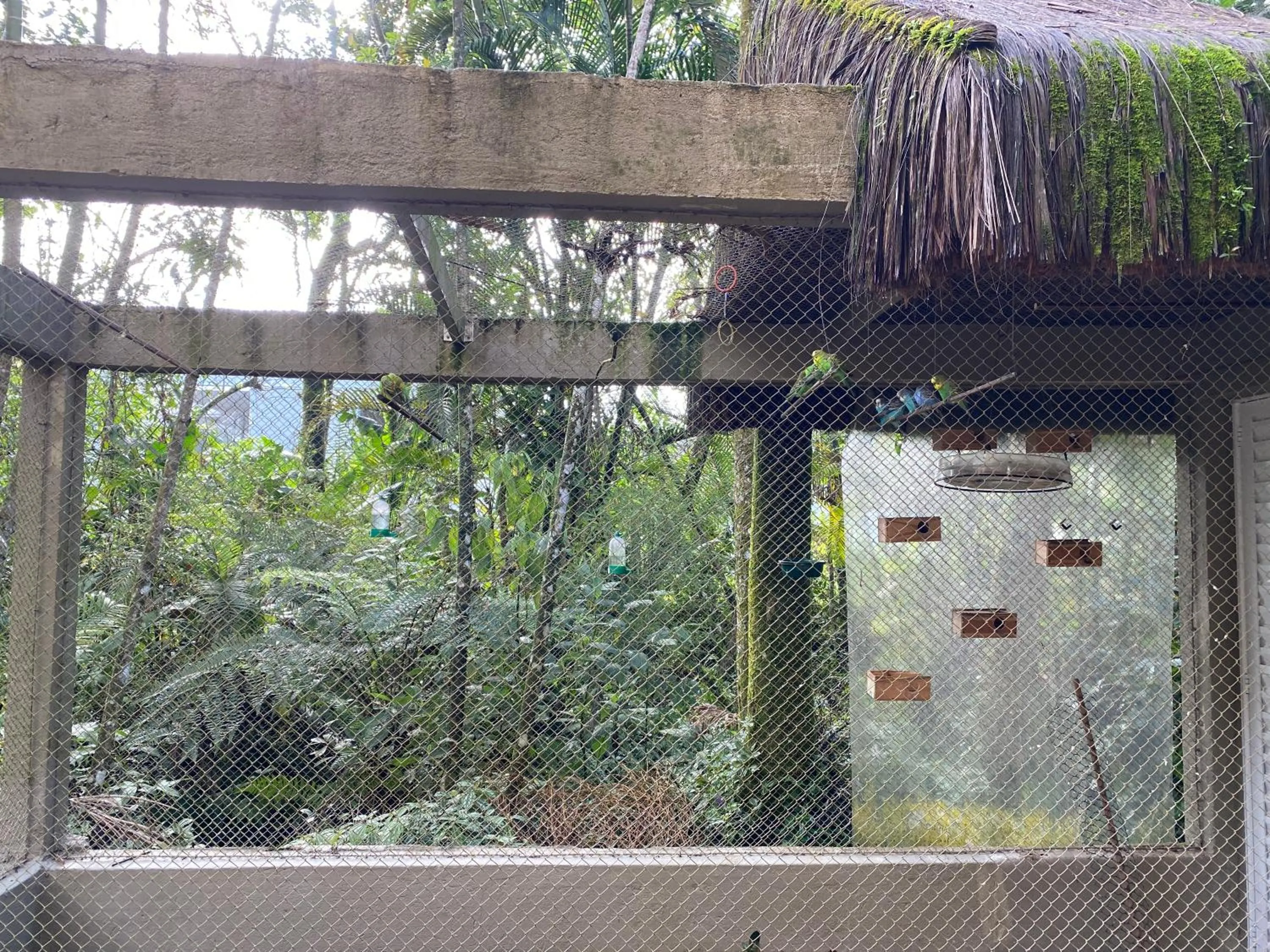 Natural landscape in Flat estudio 110 Amarilis Riviera de São Lourenço, 03 piscina climatizada, serviço de hotelaria, limpesa e troca de toalhas diária, carregador veiculo elétrico e servico de praia finais de semana WiFi 500