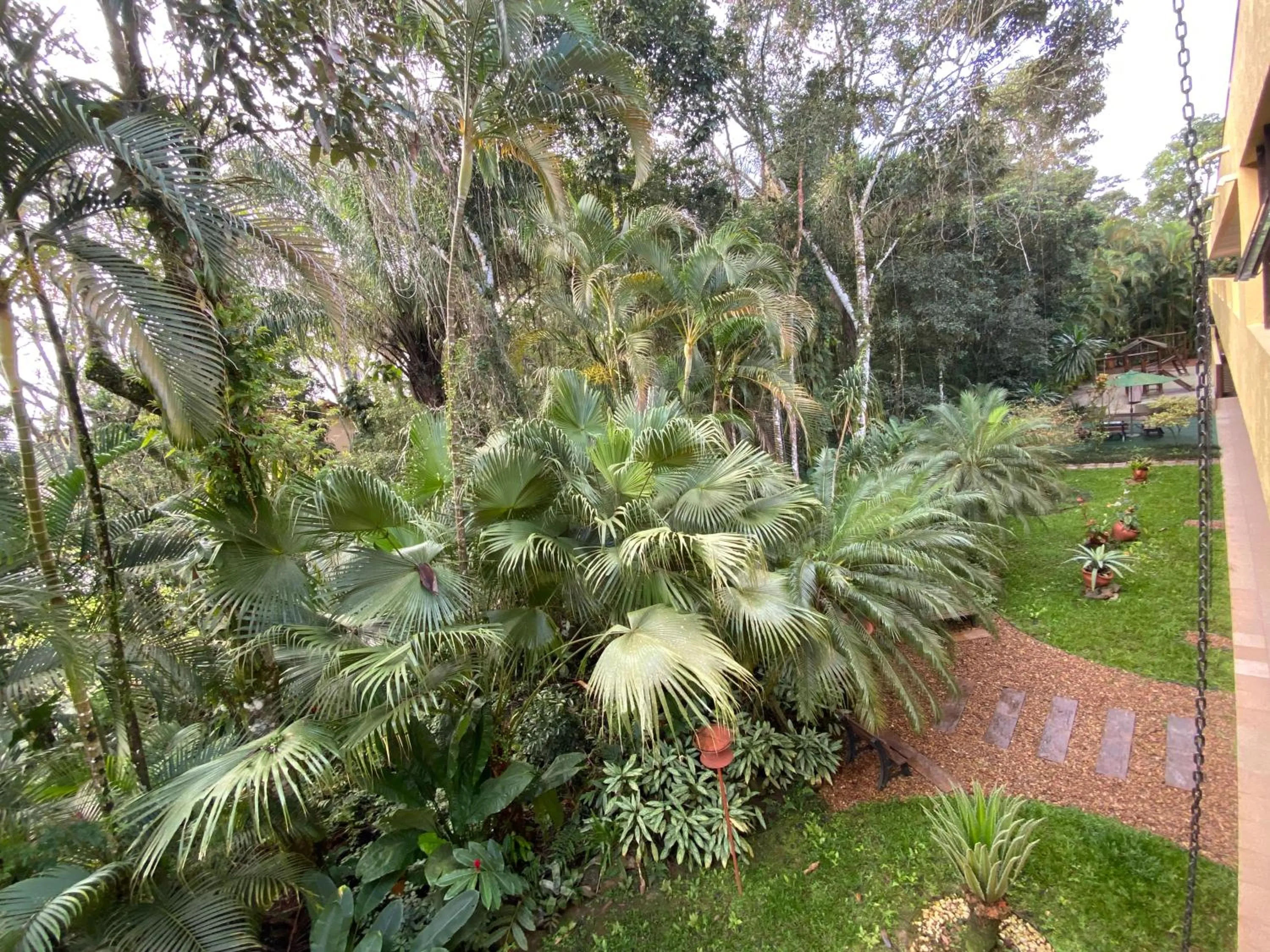 Natural landscape in Flat estudio 110 Amarilis Riviera de São Lourenço, 03 piscina climatizada, serviço de hotelaria, limpesa e troca de toalhas diária, carregador veiculo elétrico e servico de praia finais de semana WiFi 500