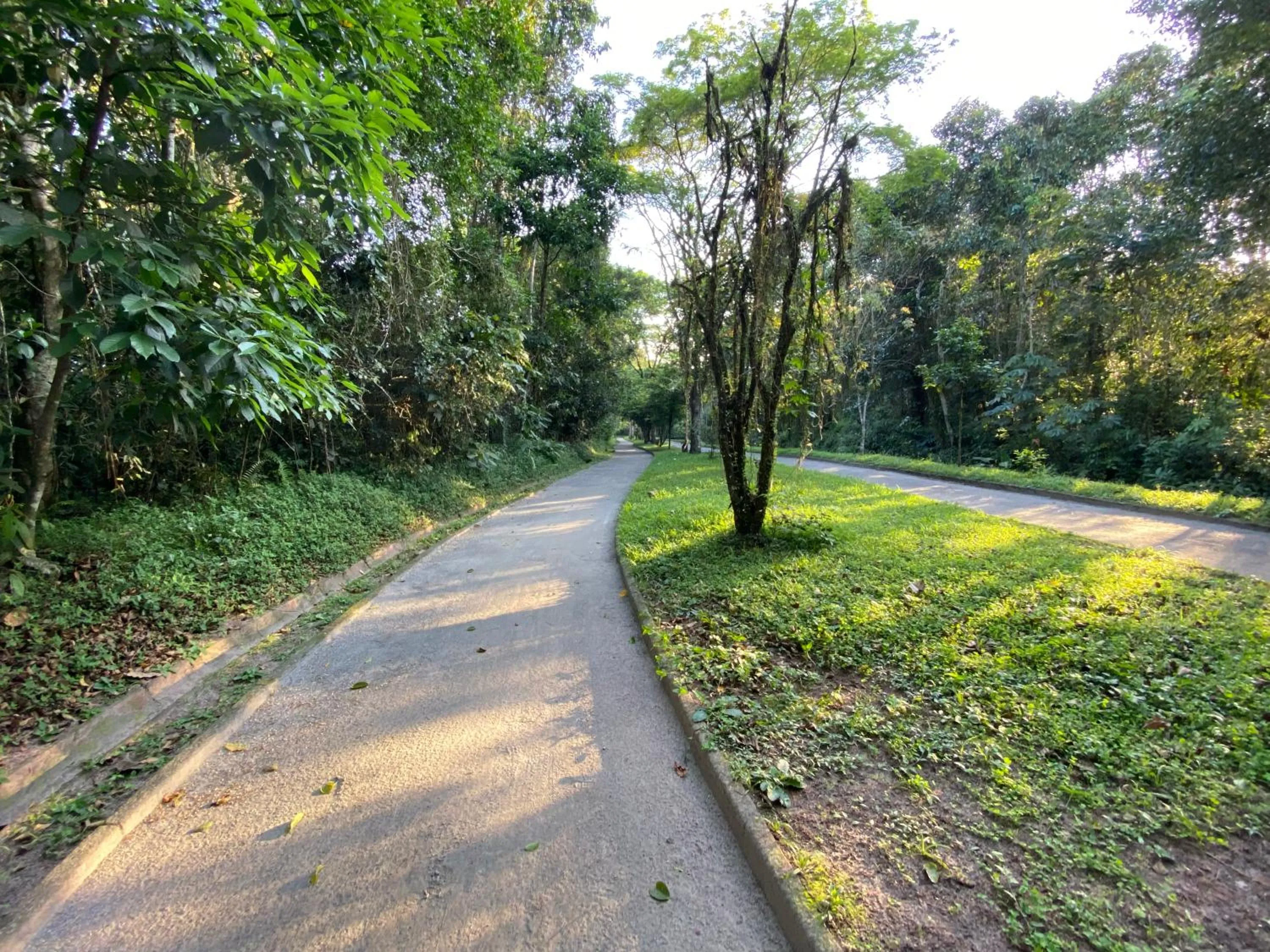 Natural landscape in Flat estudio 110 Amarilis Riviera de São Lourenço, 03 piscina climatizada, serviço de hotelaria, limpesa e troca de toalhas diária, carregador veiculo elétrico e servico de praia finais de semana WiFi 500