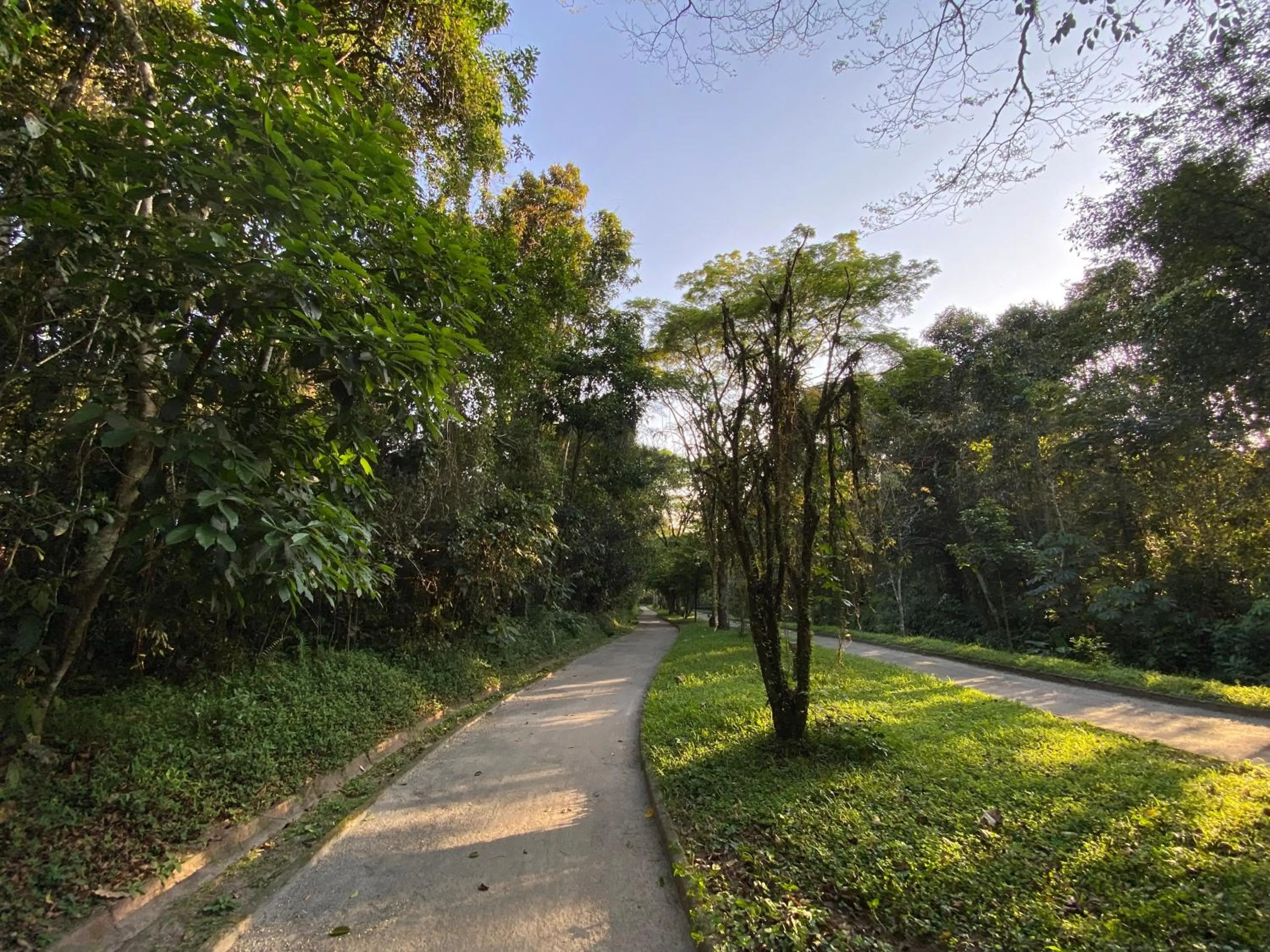 Natural landscape in Flat estudio 110 Amarilis Riviera de São Lourenço, 03 piscina climatizada, serviço de hotelaria, limpesa e troca de toalhas diária, carregador veiculo elétrico e servico de praia finais de semana WiFi 500