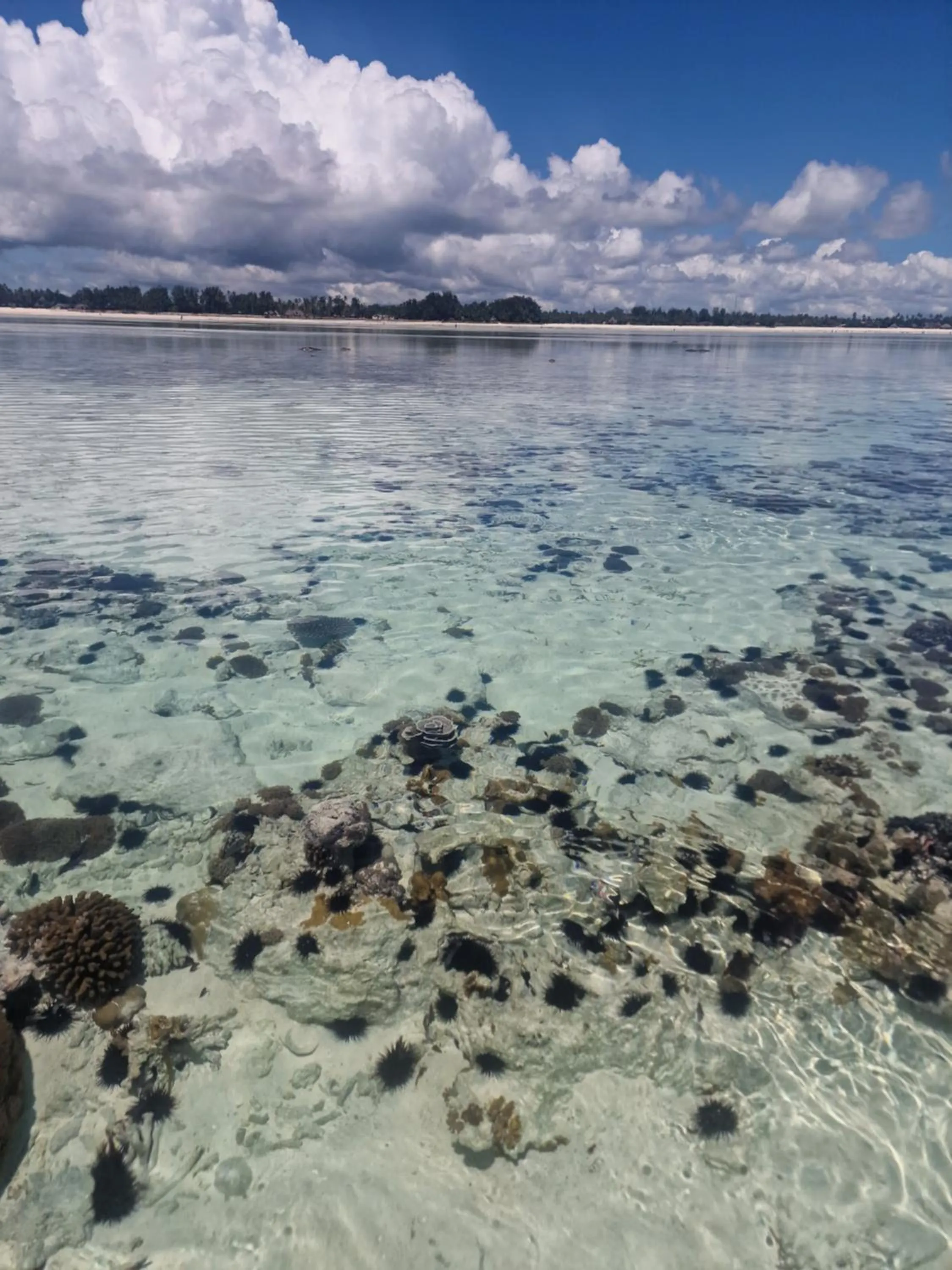 Natural landscape in Dhow Inn Boutique Hotel