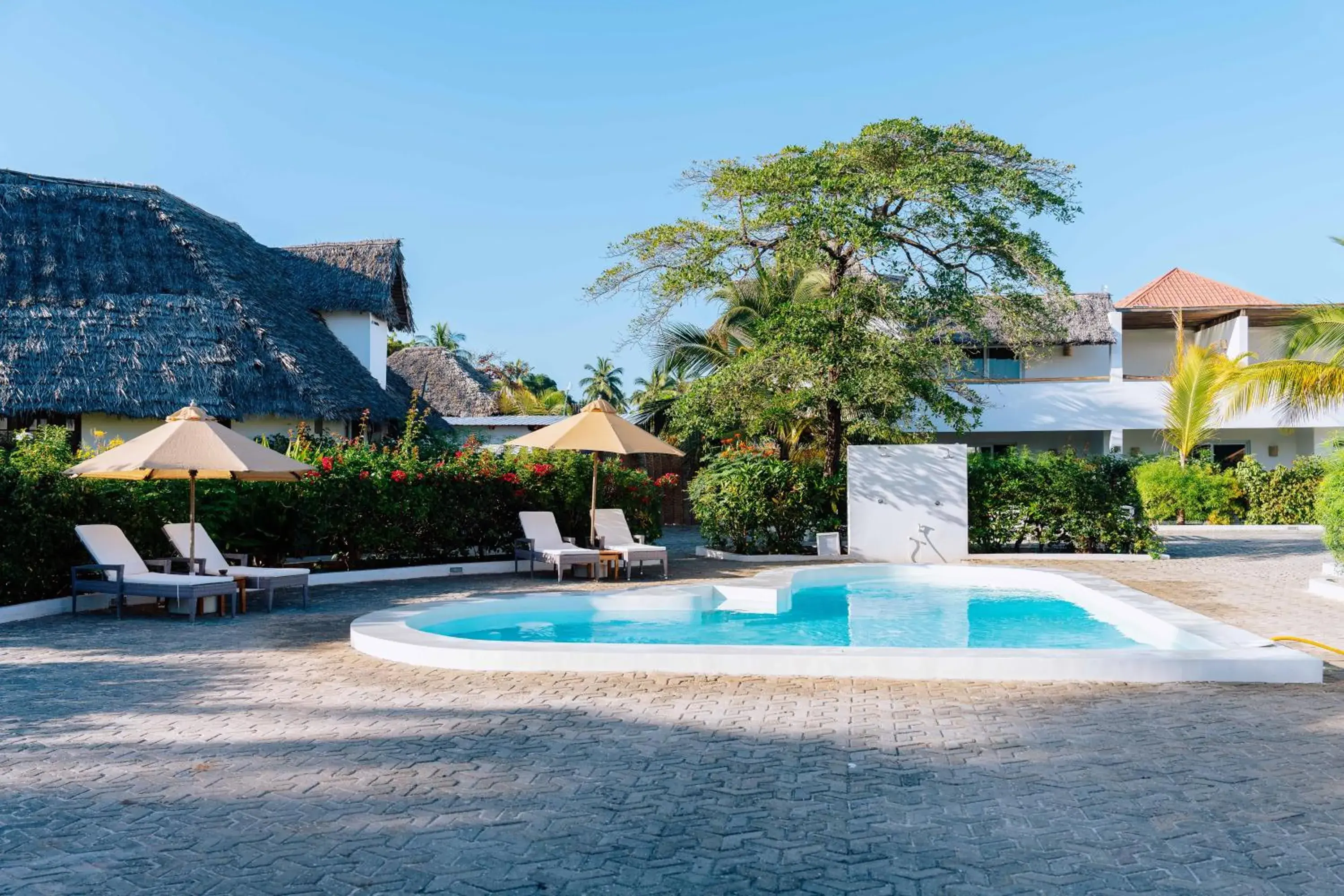 Swimming pool in Dhow Inn Boutique Hotel Swimming pool in Dhow Inn Boutique Hotel