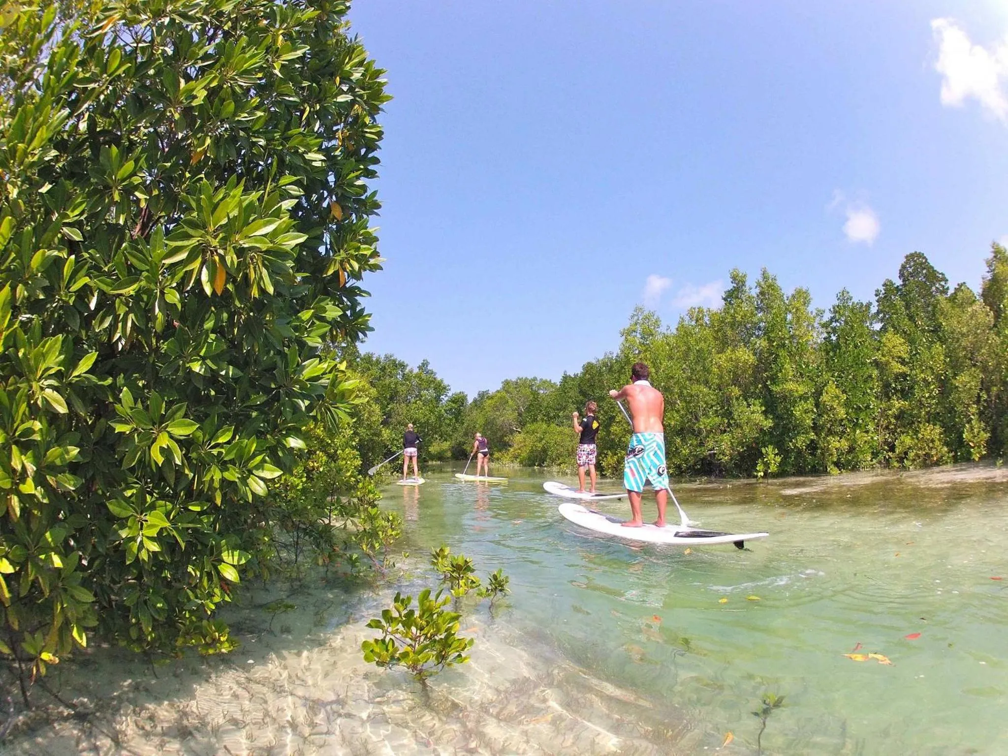 Natural landscape in Dhow Inn Boutique Hotel