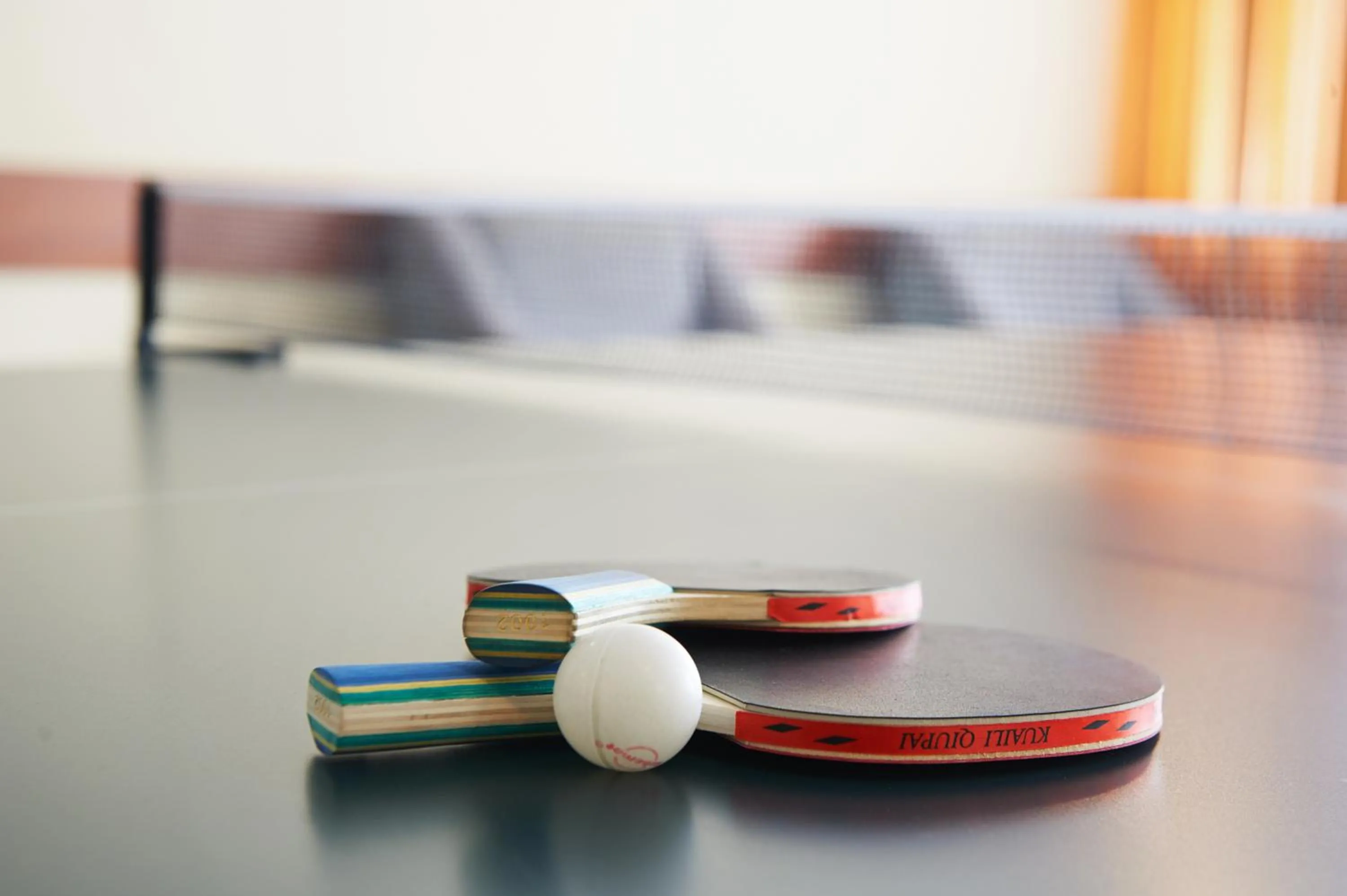 Table tennis in Obiekt Hotelarski Patron
