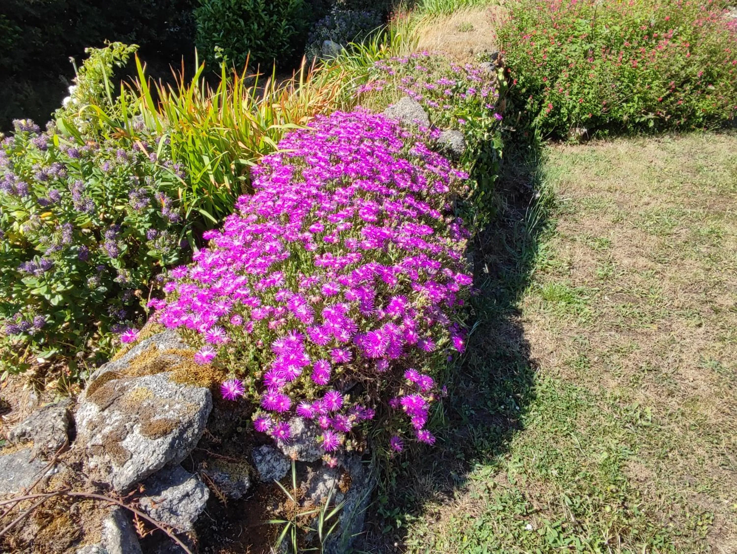 Garden in Location Keransignour
