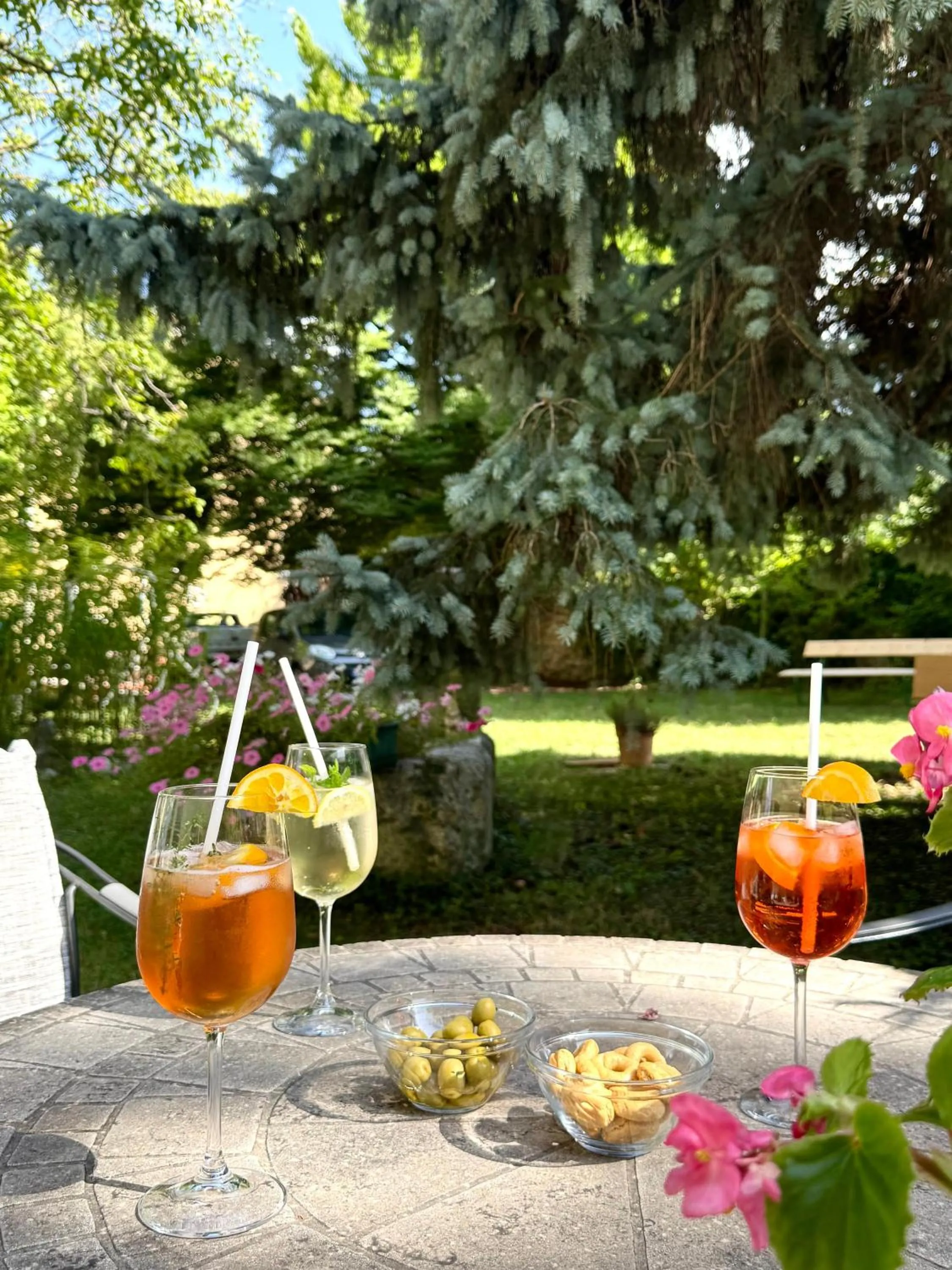 Garden in Hotel Pension Schweitzer