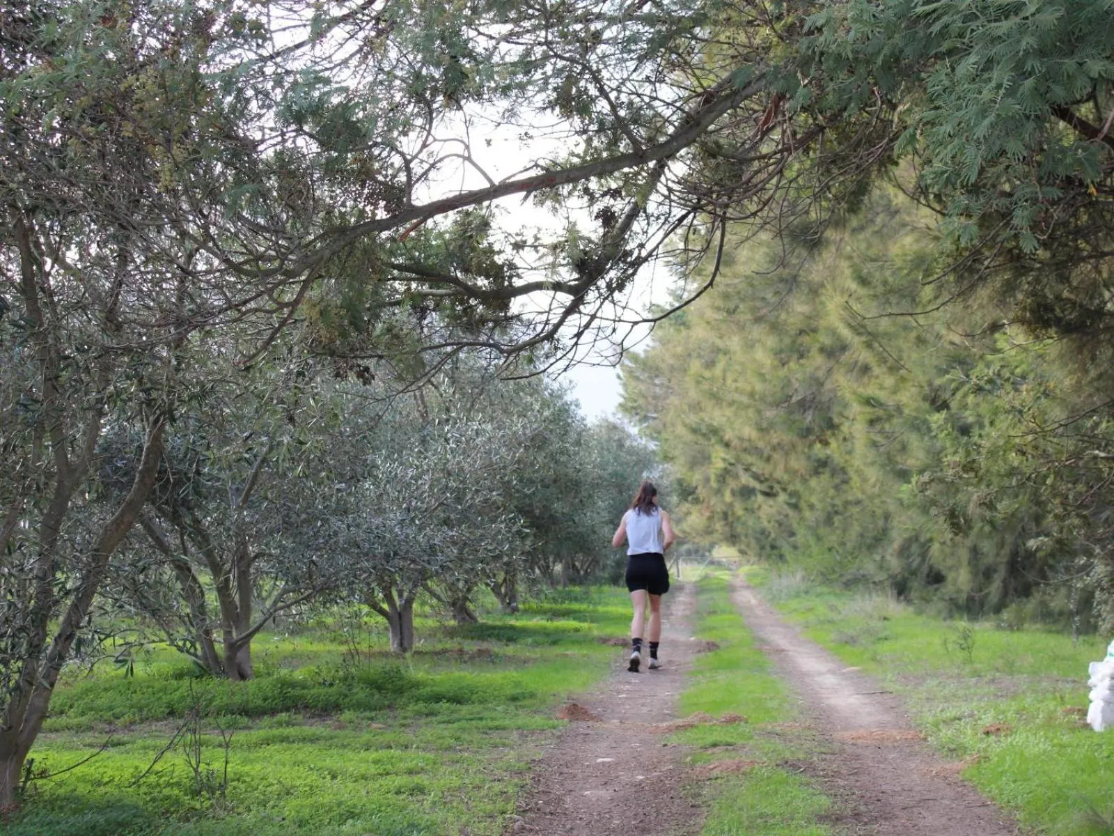 Natural landscape in Duikersdrift Winelands Country Escape