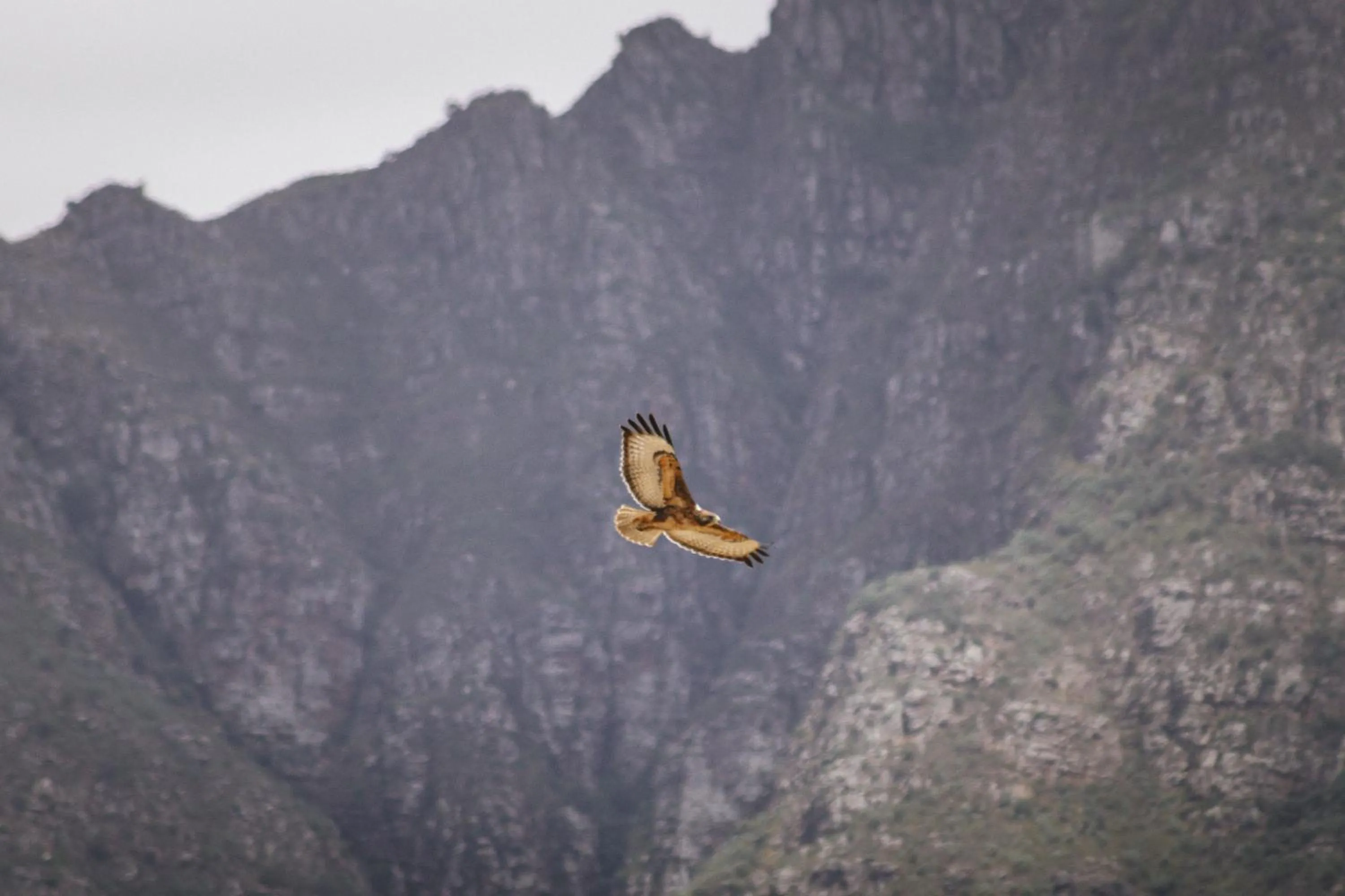 Natural landscape in Duikersdrift Winelands Country Escape