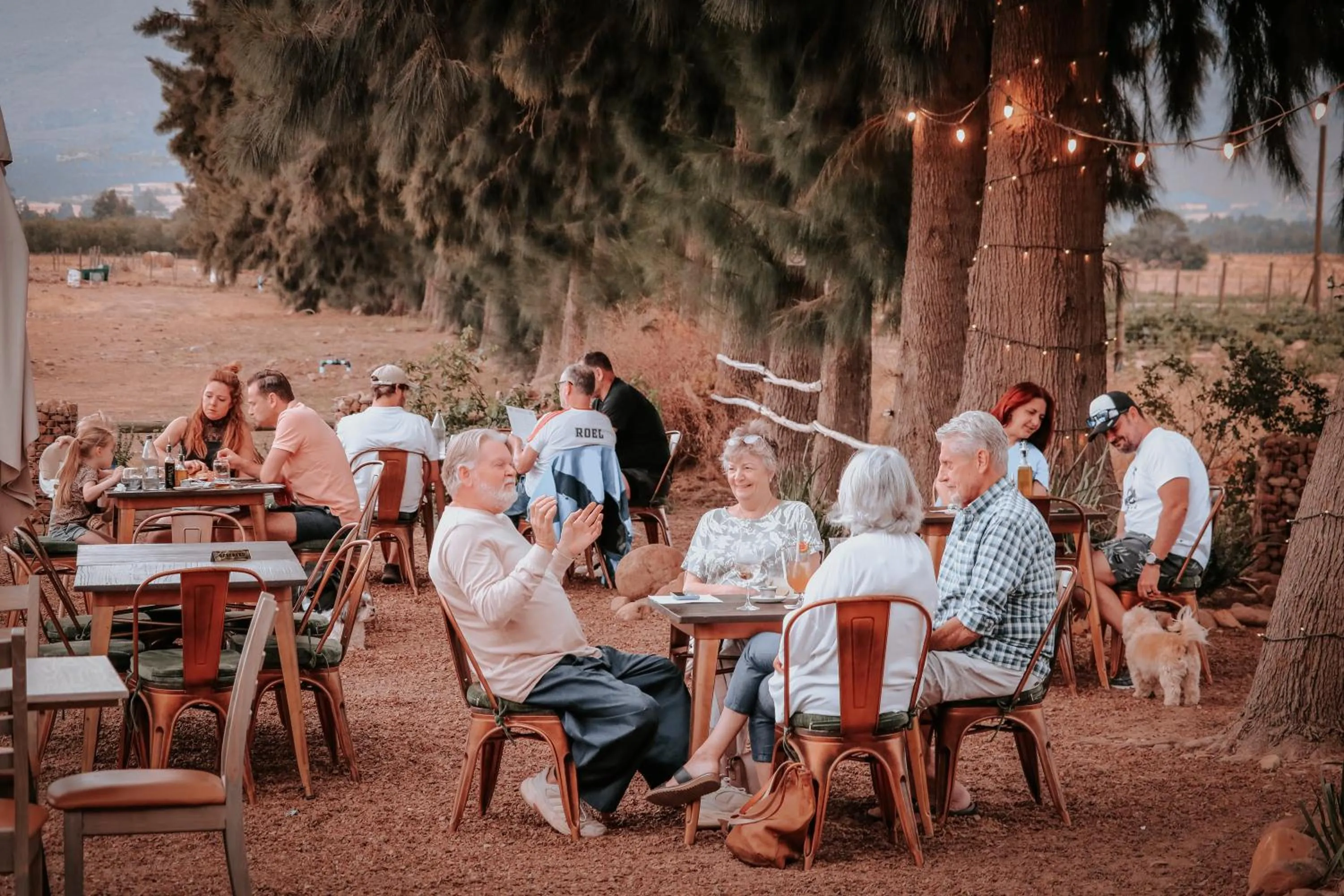 Restaurant/places to eat in Duikersdrift Winelands Country Escape