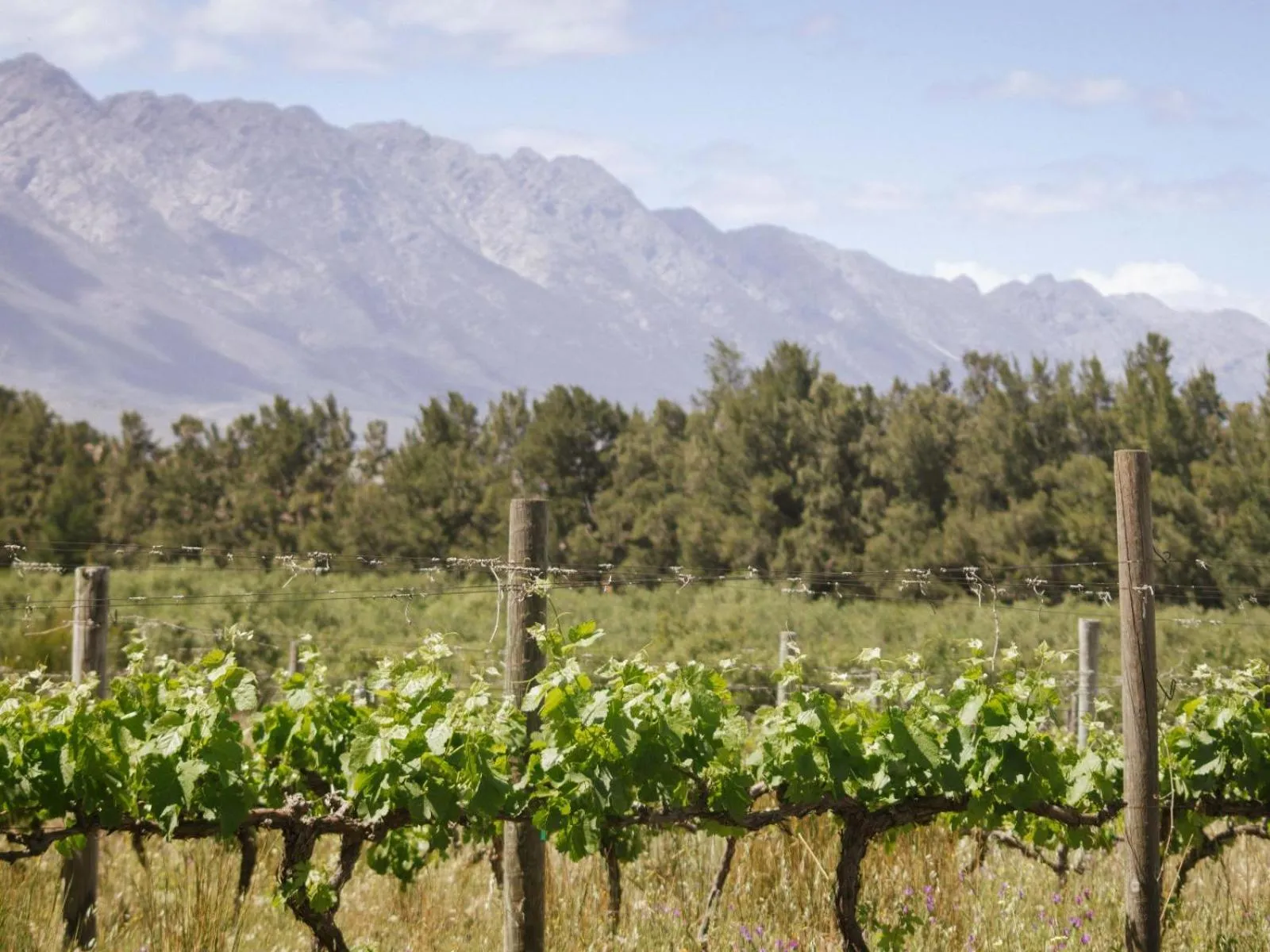 Natural landscape in Duikersdrift Winelands Country Escape