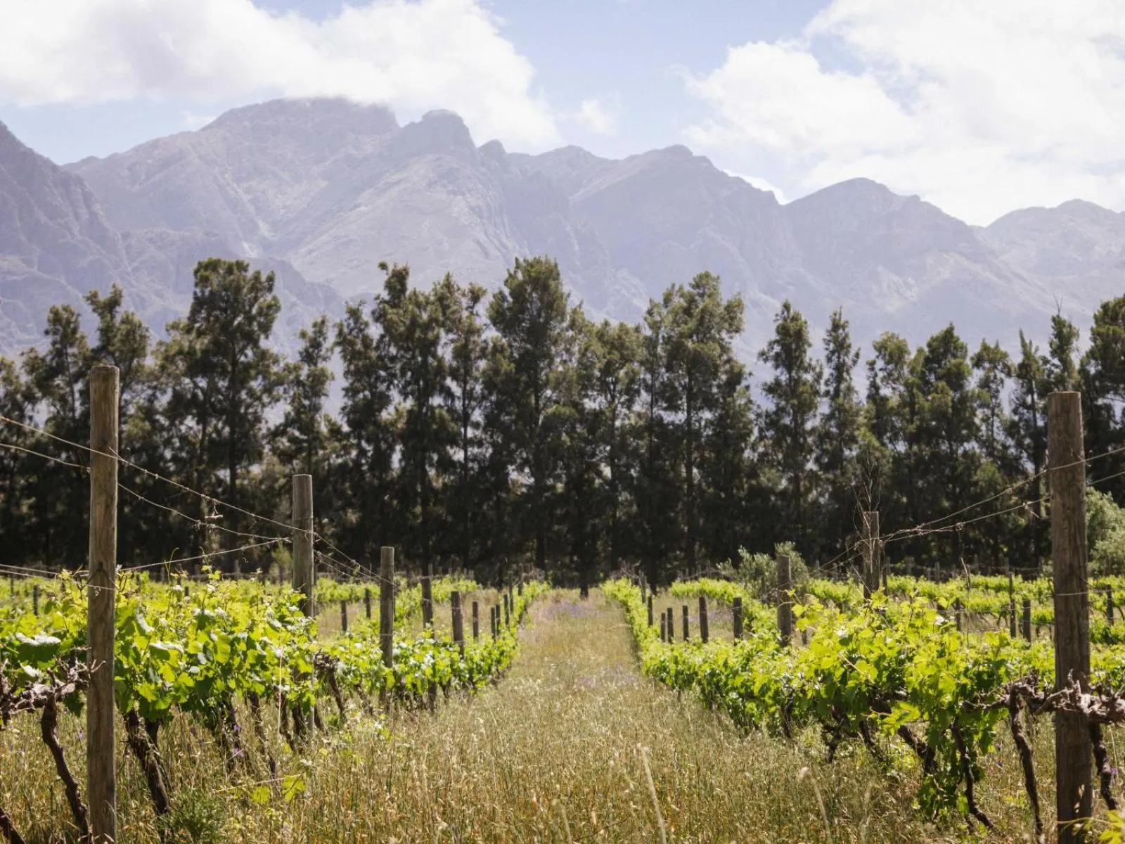 Natural landscape in Duikersdrift Winelands Country Escape