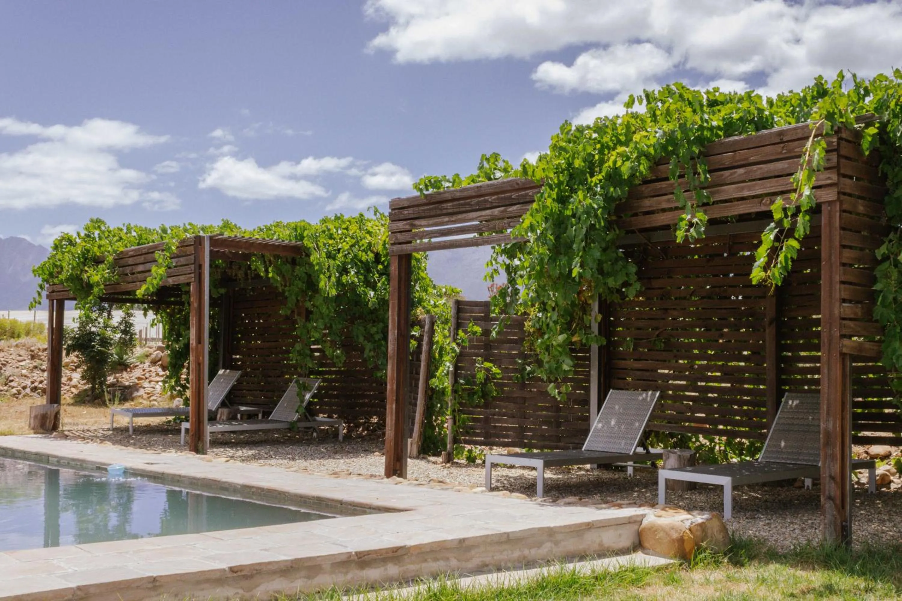 Swimming pool in Duikersdrift Winelands Country Escape