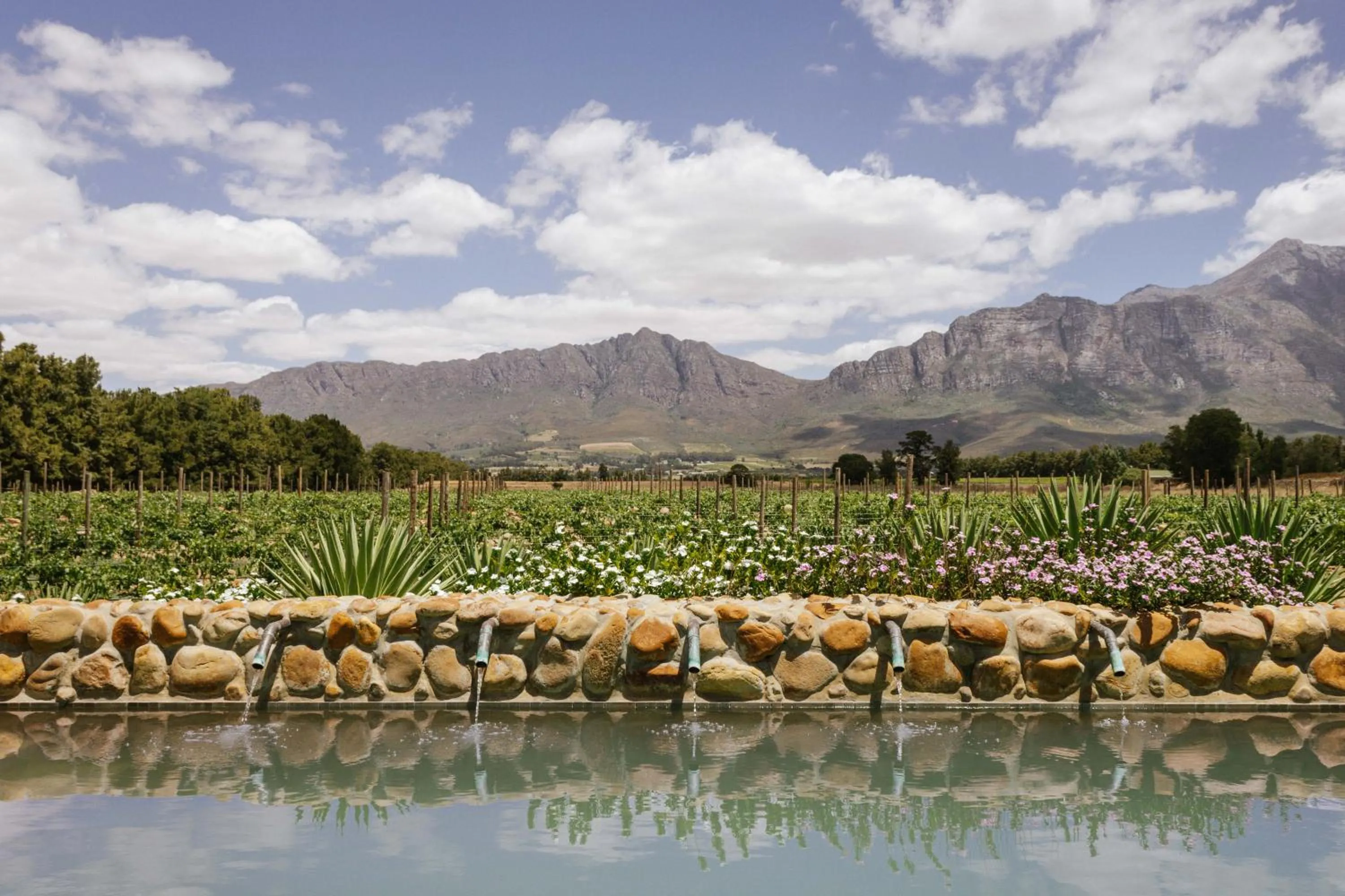 Mountain view in Duikersdrift Winelands Country Escape