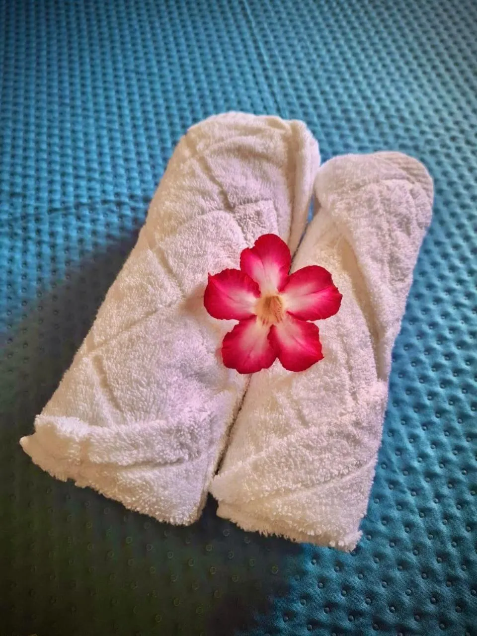 Pousada das Flores