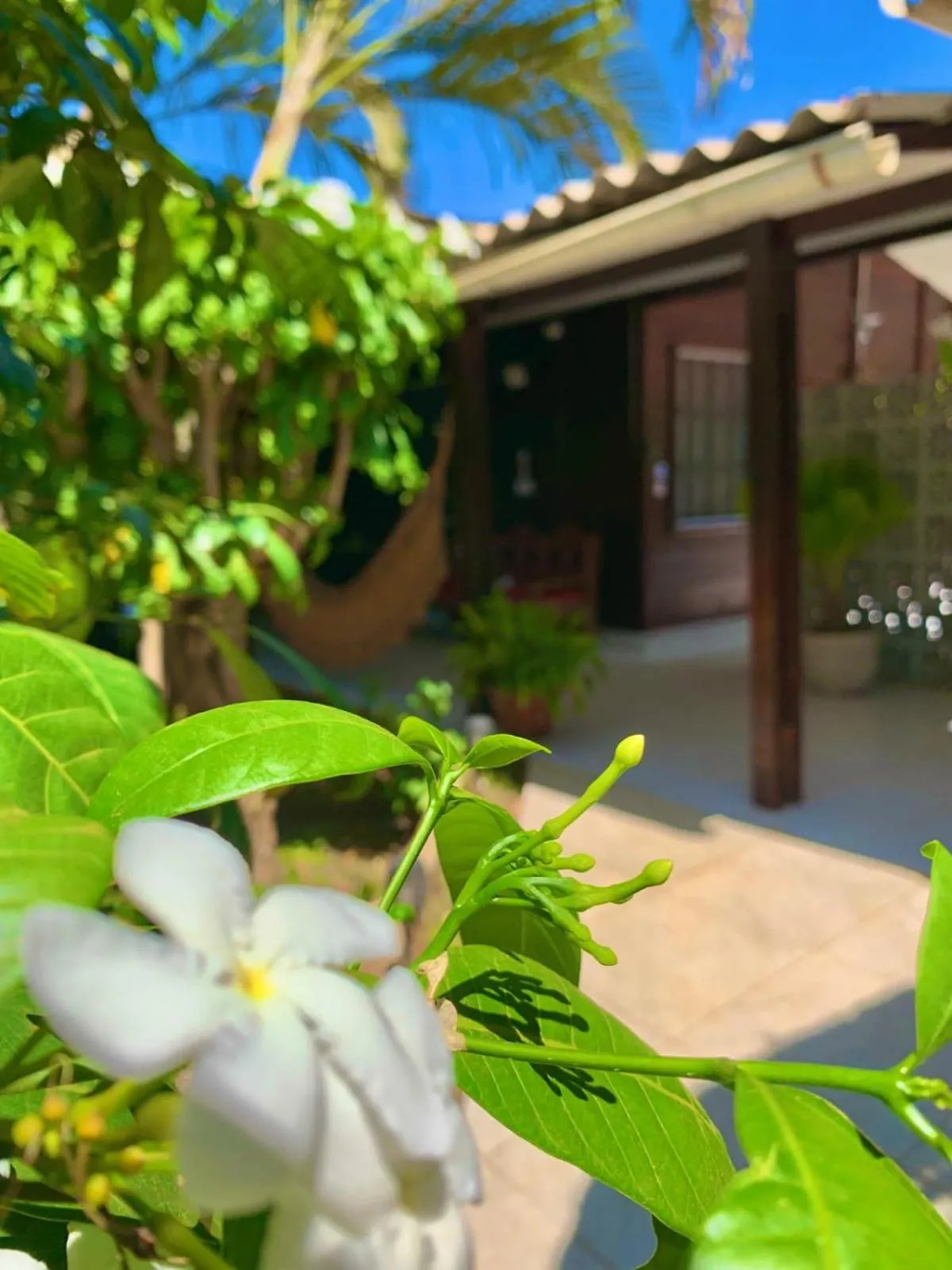 Garden in Pousada das Flores