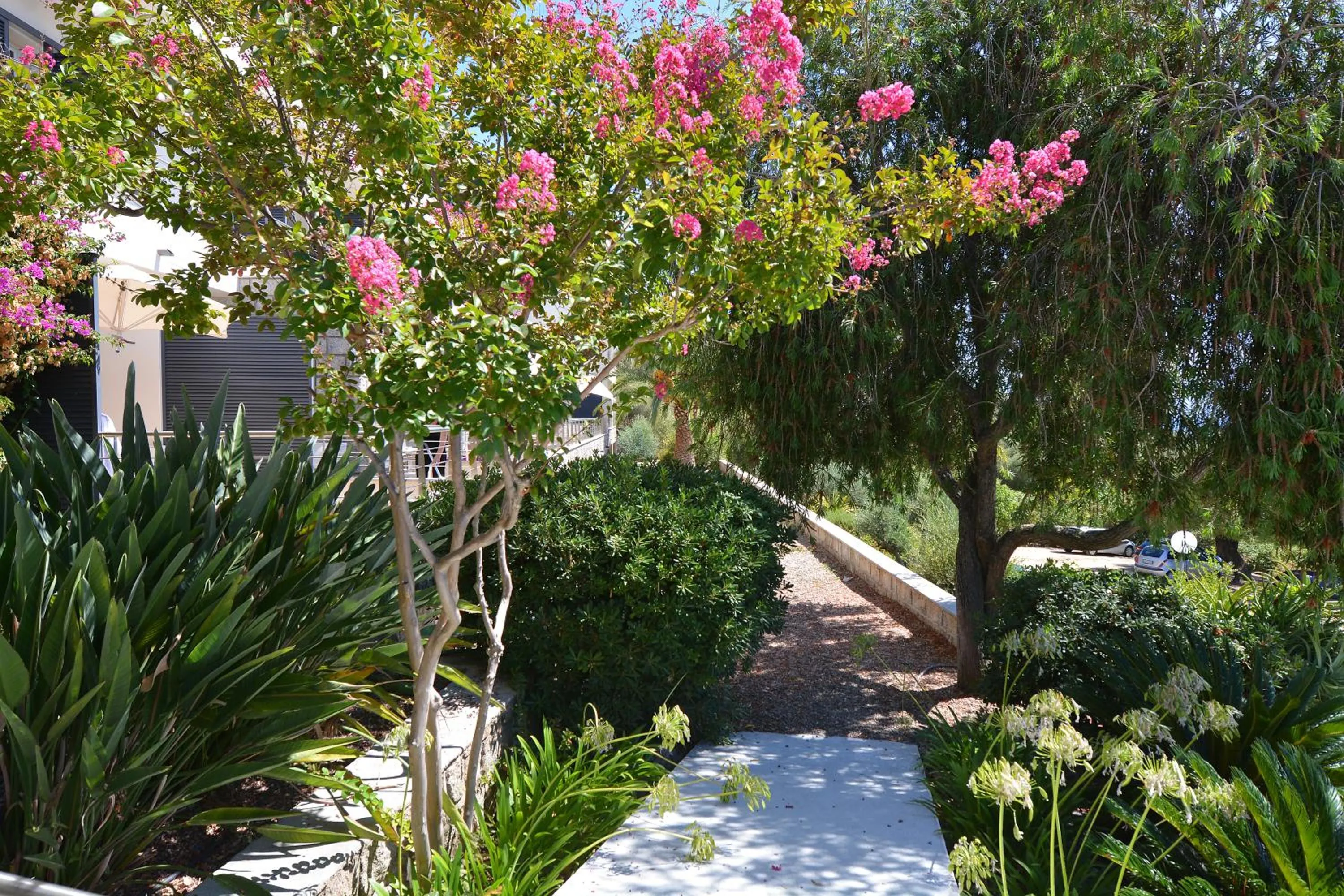Natural landscape in Hotel Les Eucalyptus