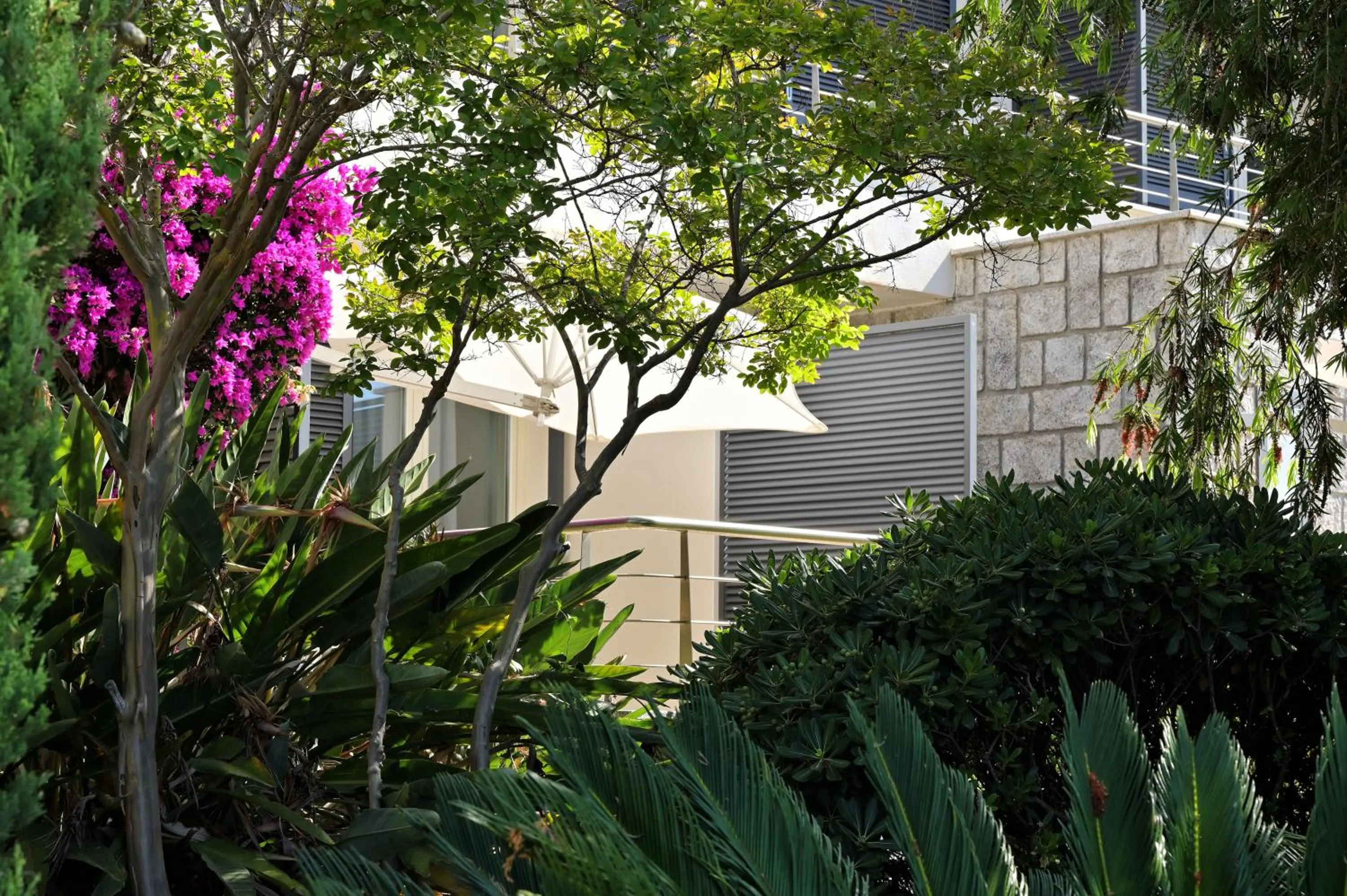 Garden in Hotel Les Eucalyptus