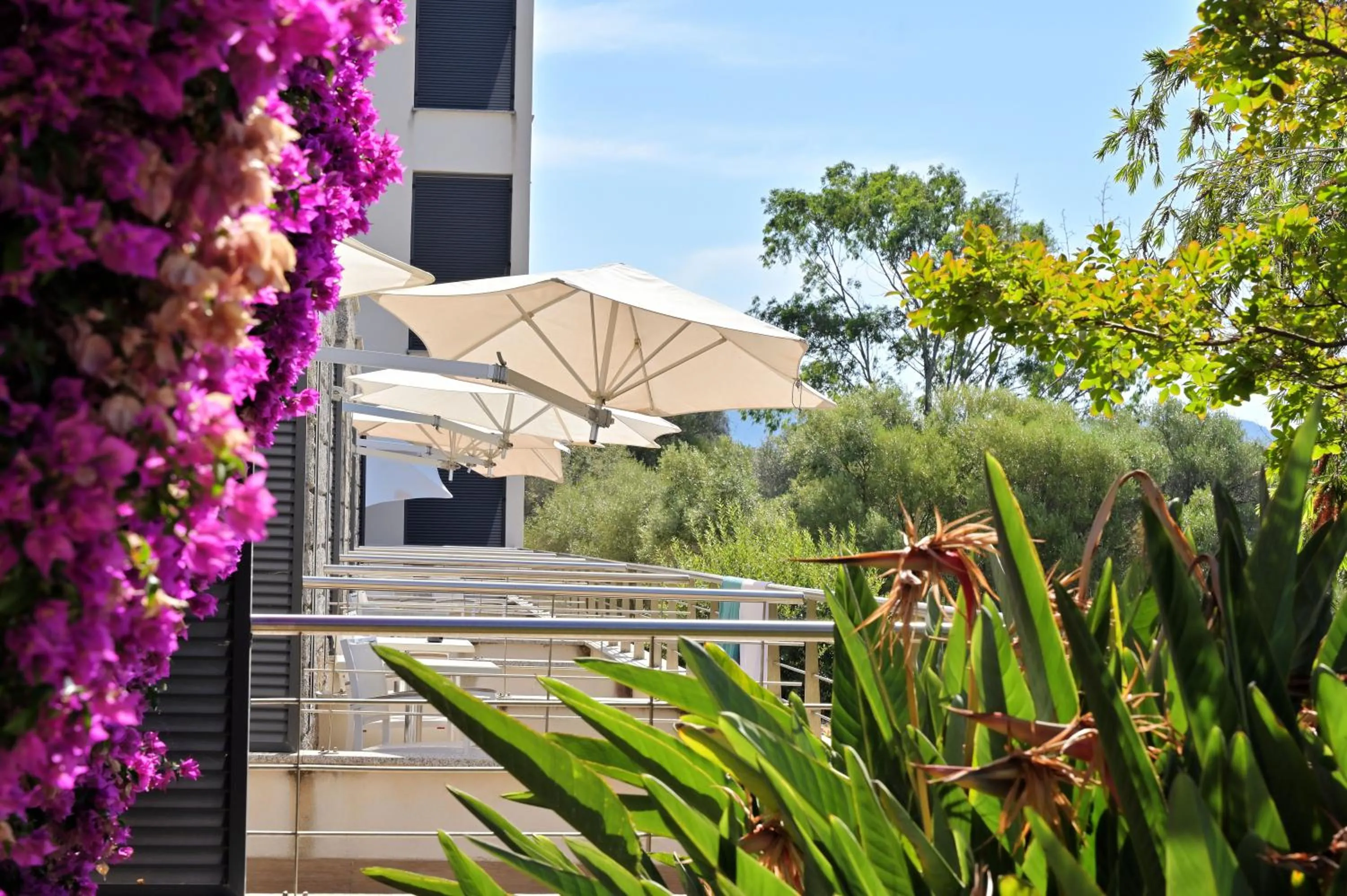 Garden in Hotel Les Eucalyptus