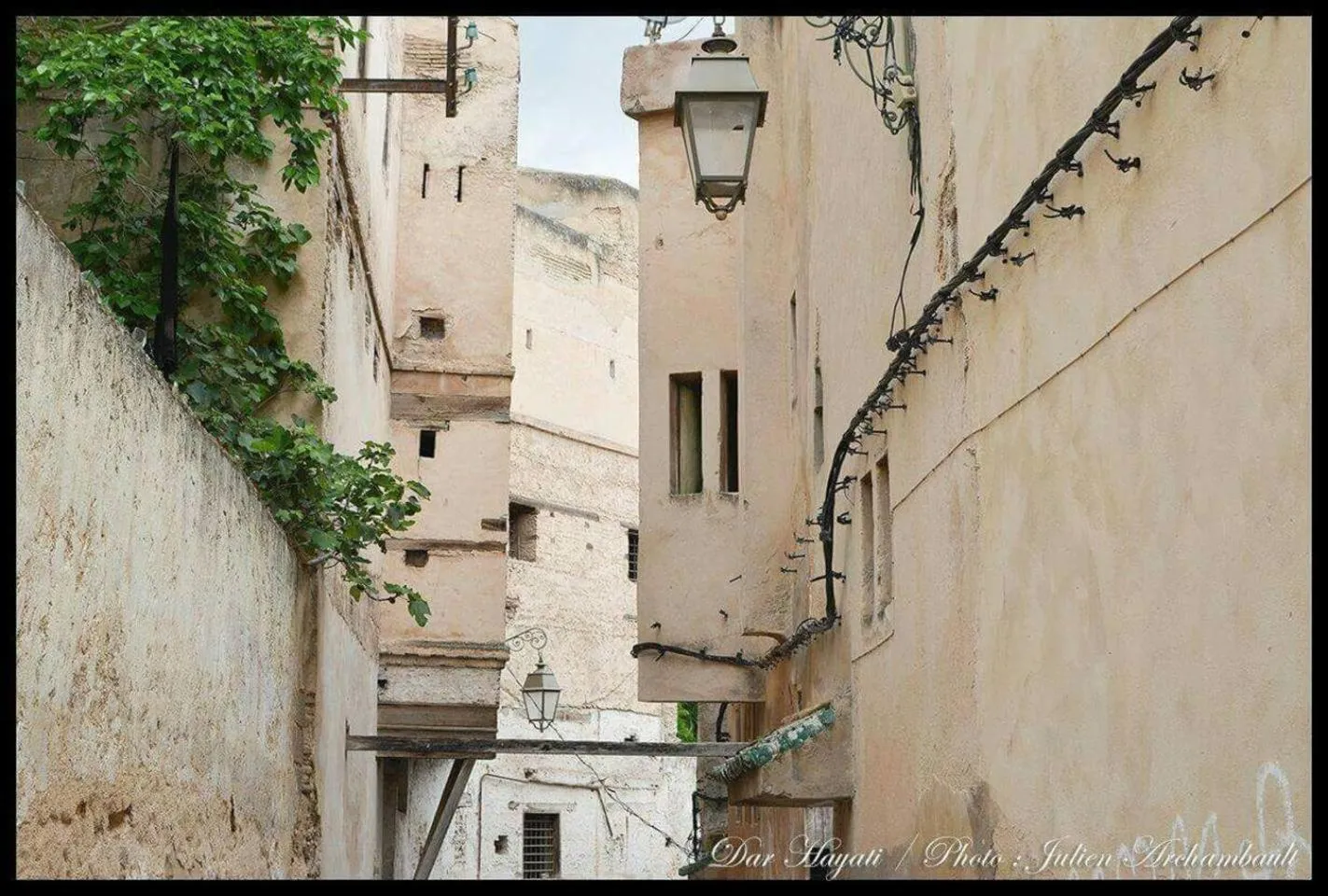 Neighbourhood in Dar Hayati