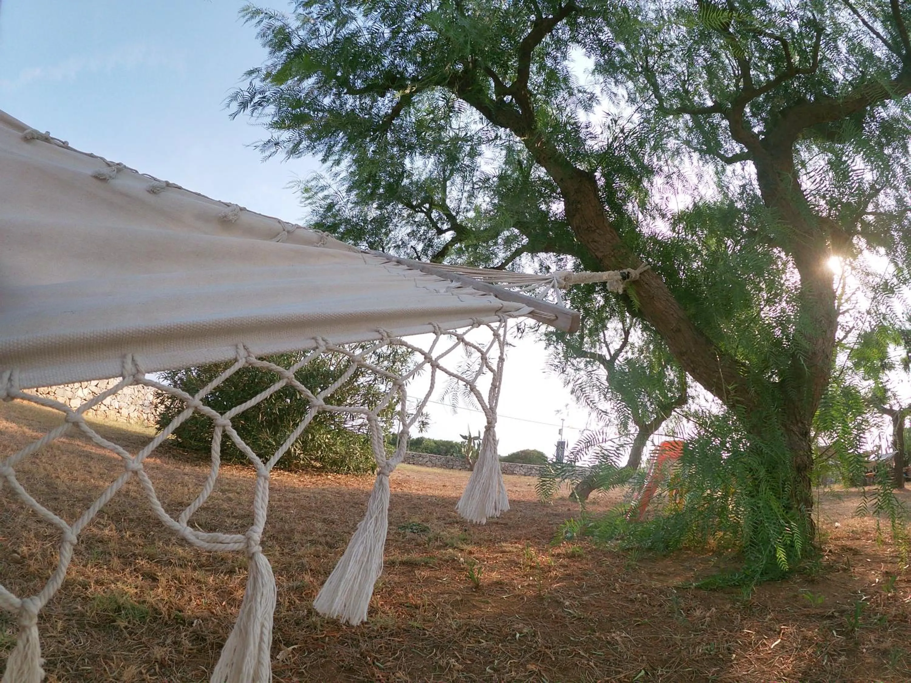 Tenuta Nonno Carmine