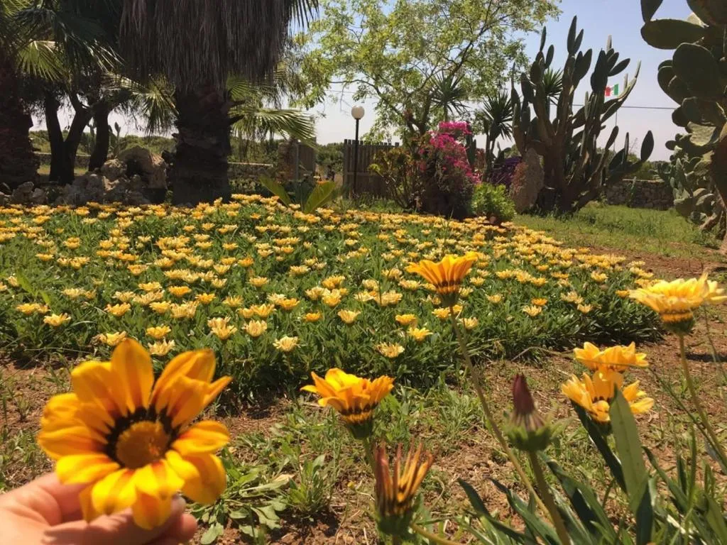 Tenuta Nonno Carmine