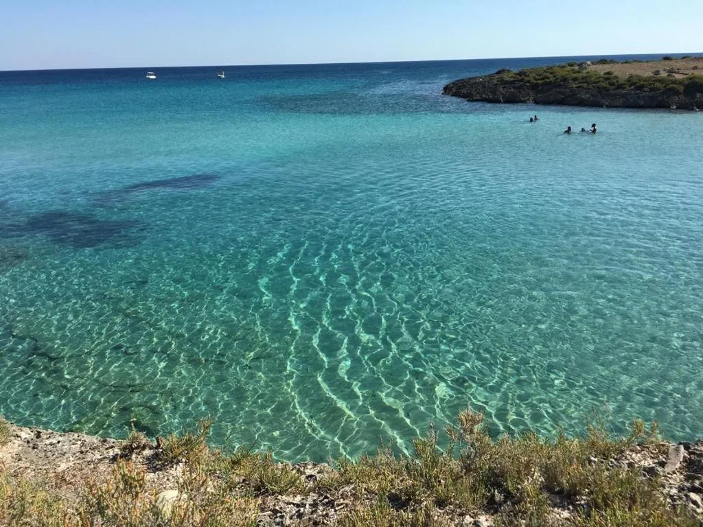 Tenuta Nonno Carmine