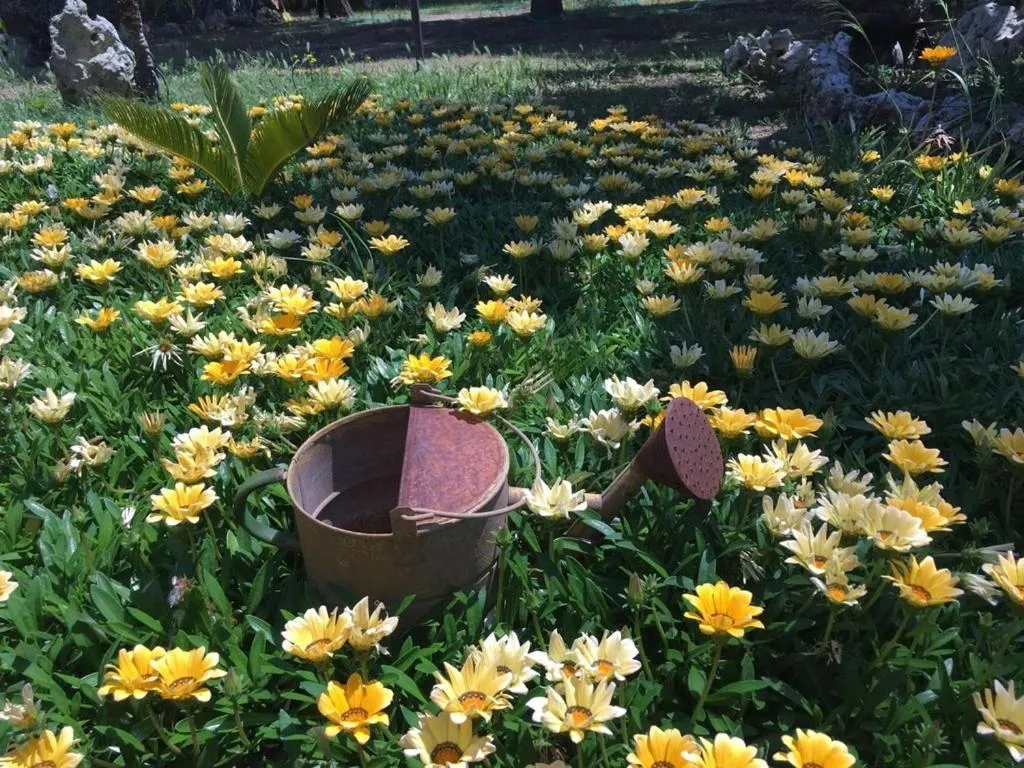 Tenuta Nonno Carmine