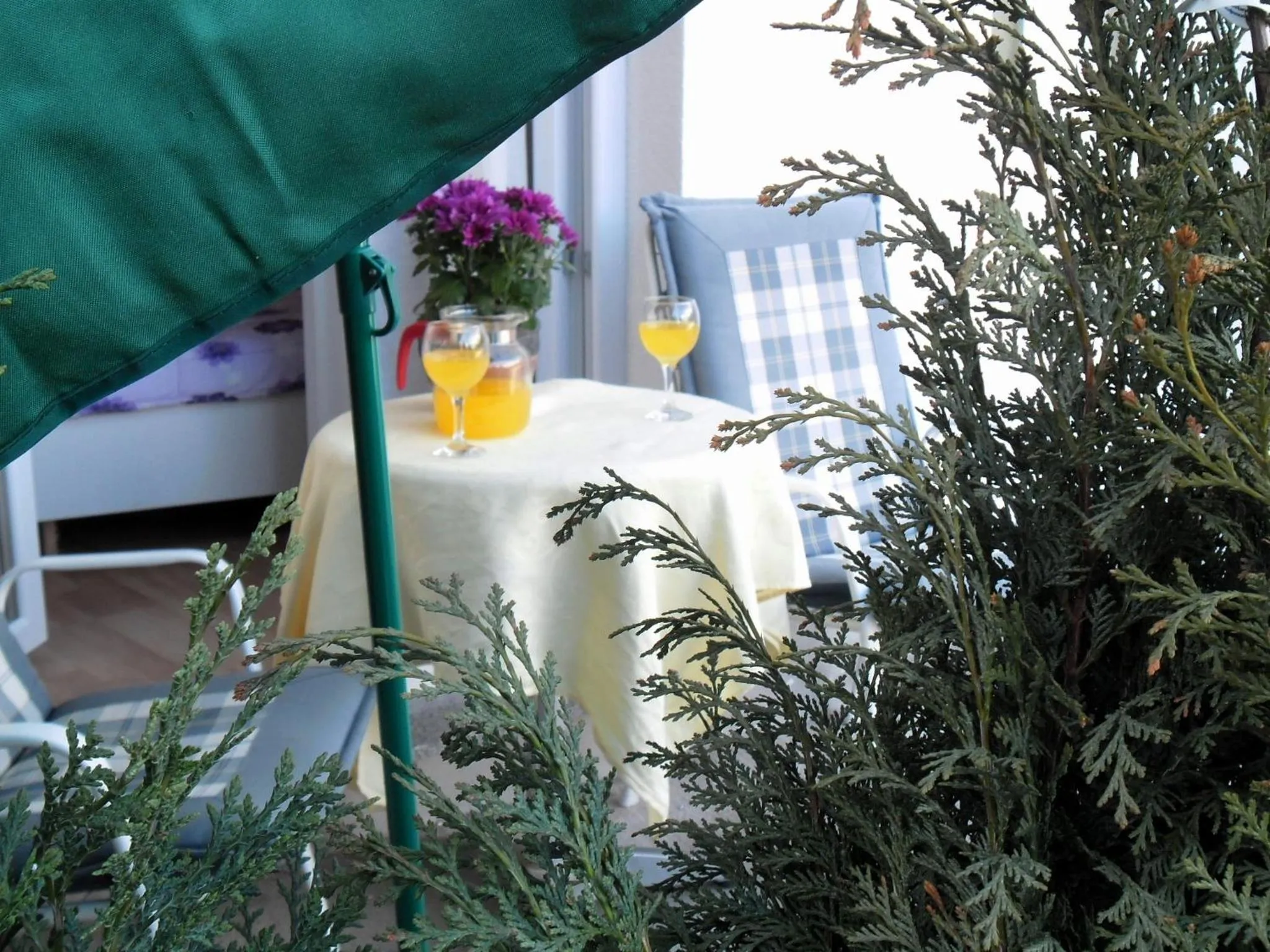 Balcony/Terrace in Apartments Kestenovi Dvori