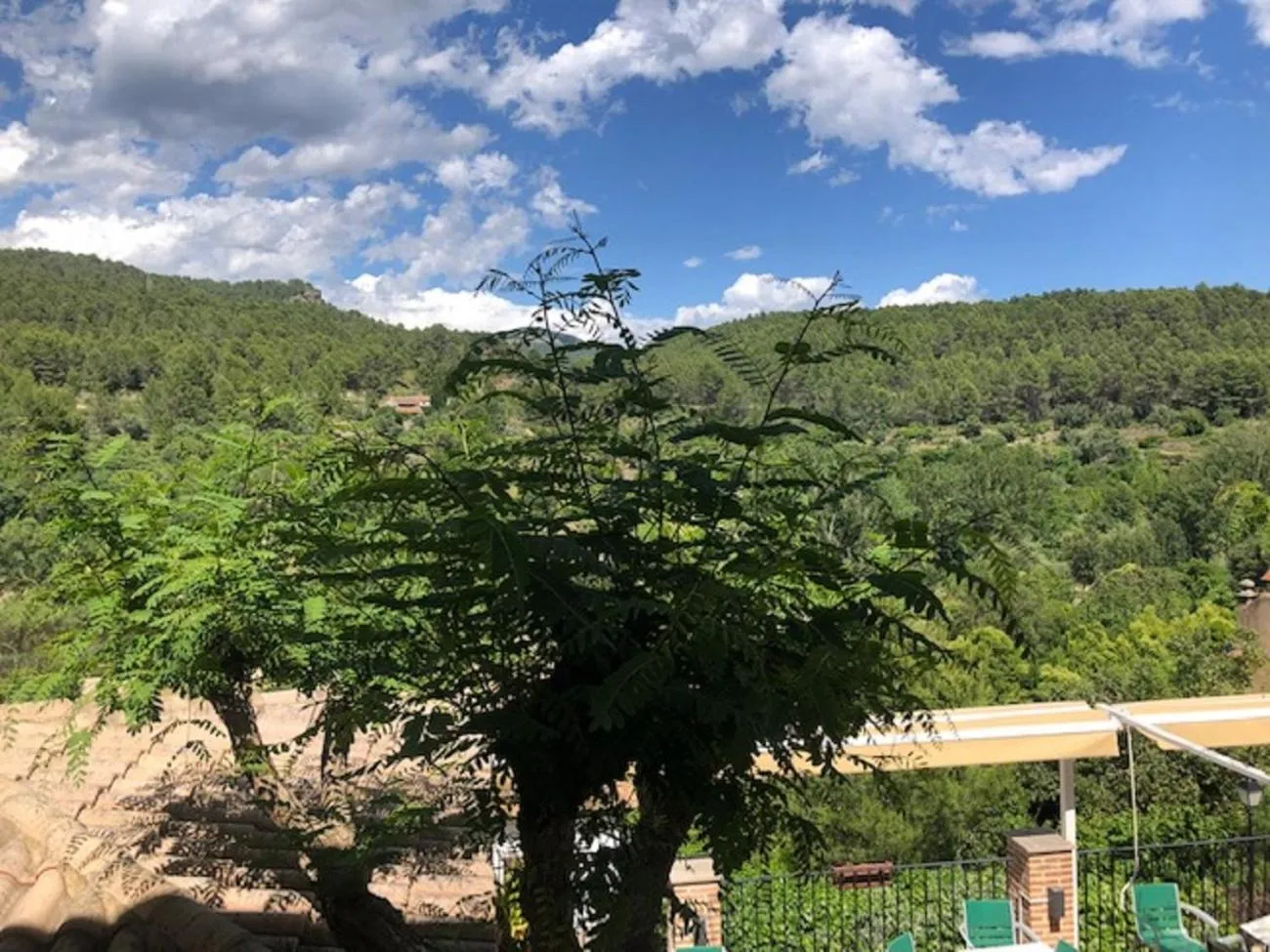 View (from property/room) in Hotel Gil