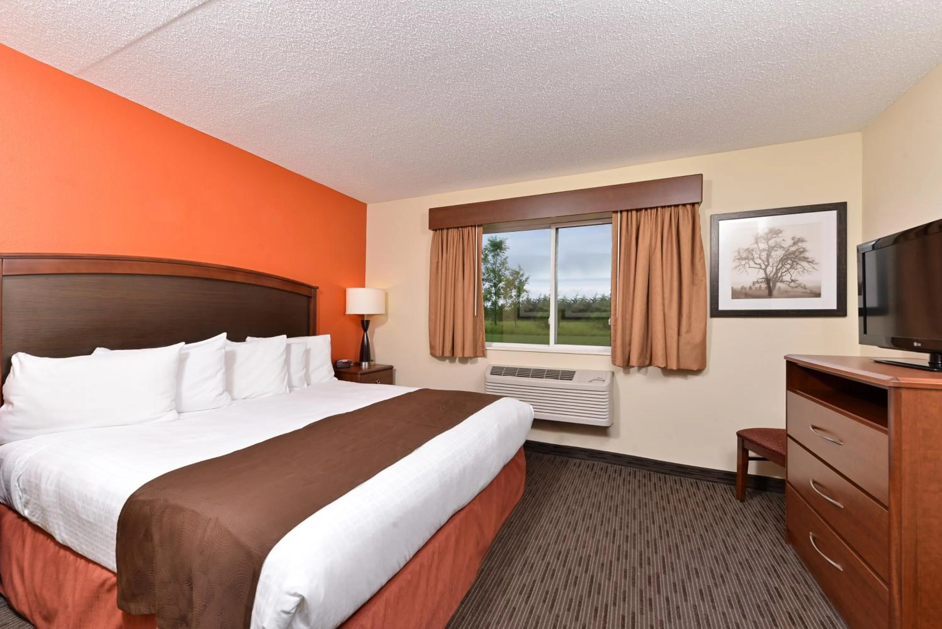 Bedroom, Bed in AmericInn by Wyndham St Cloud MN I-94