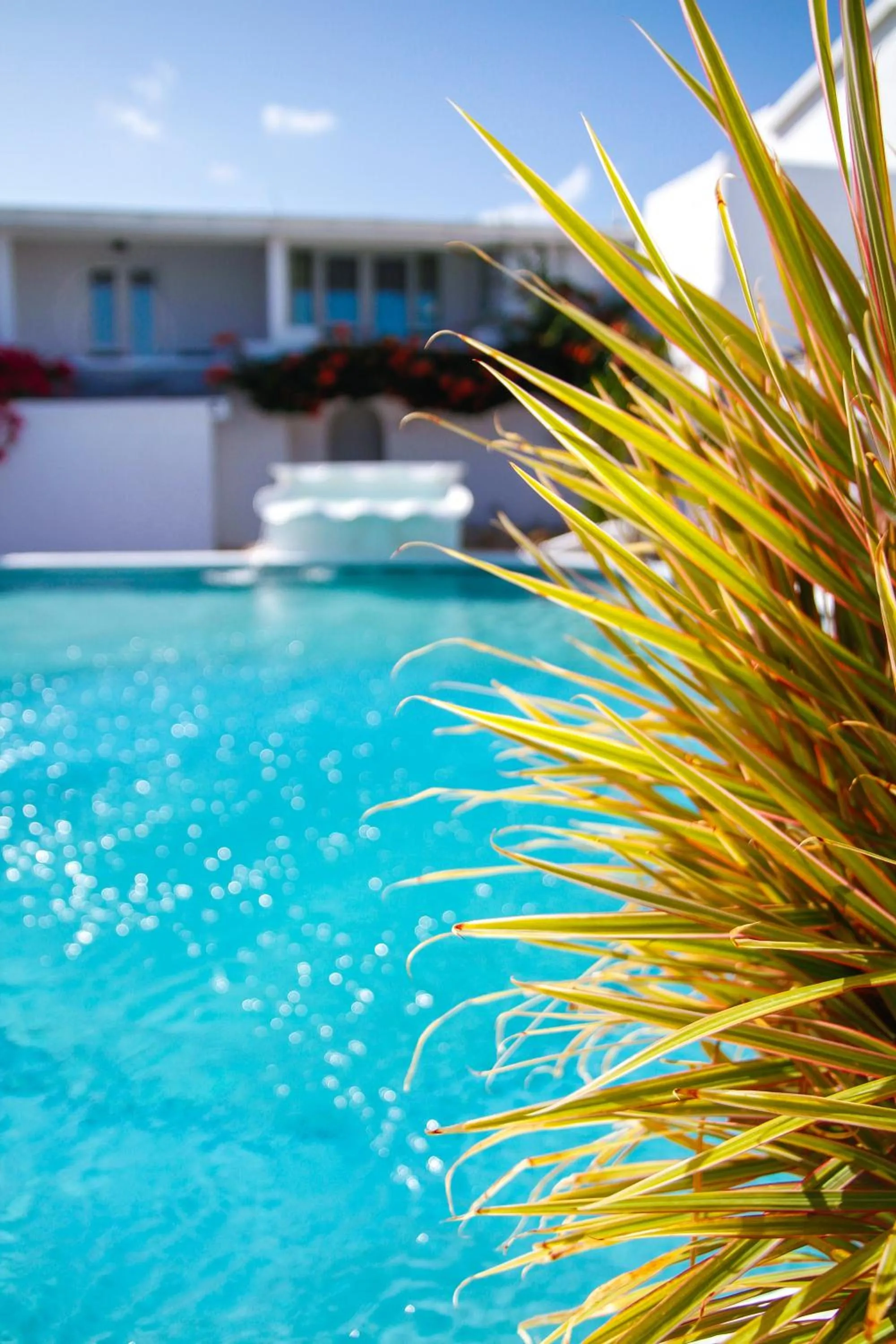 Day in Trade Winds Hotel