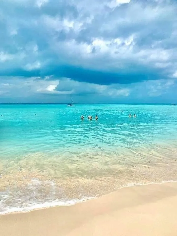 Natural landscape in Viento Suites Cancún