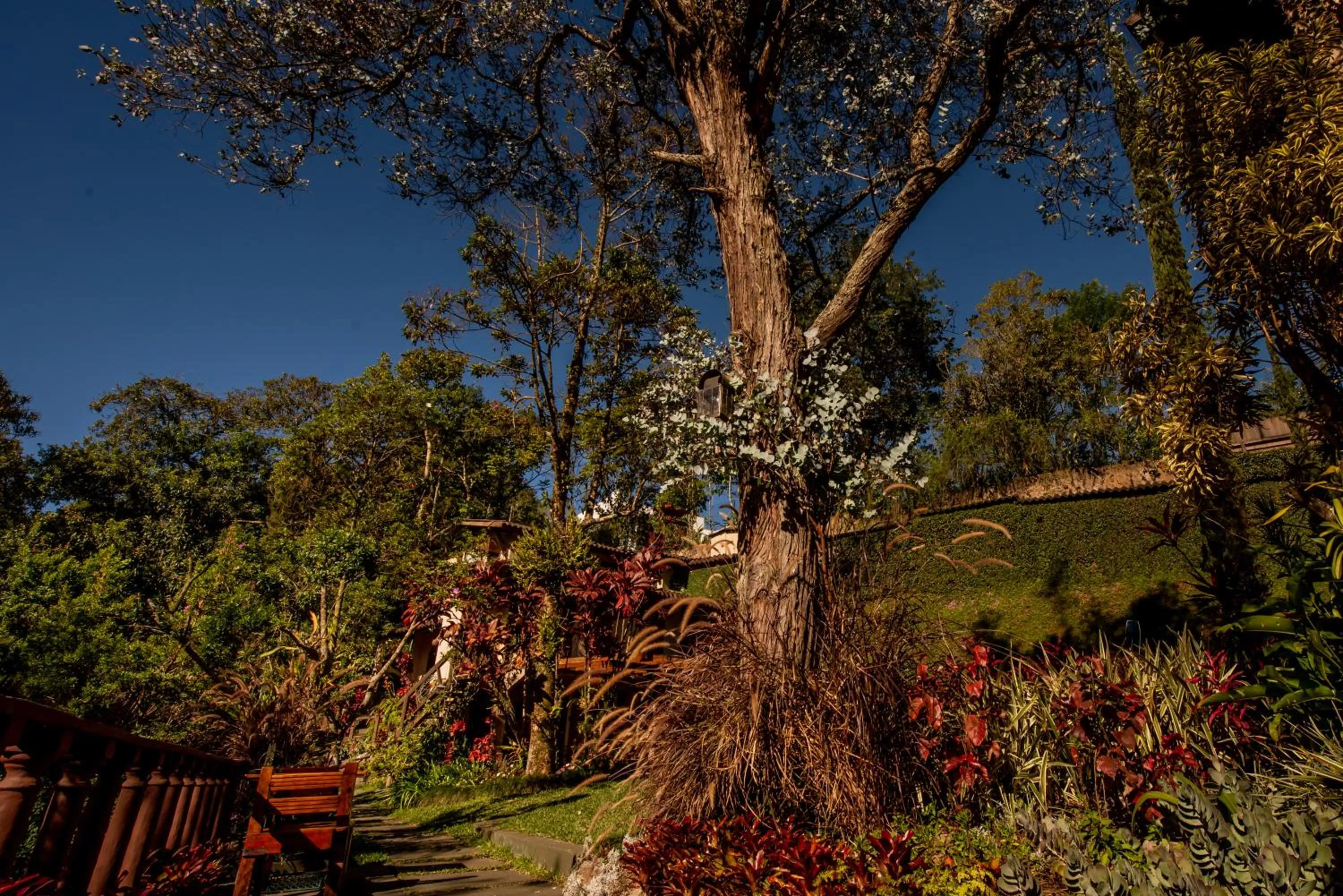 Pousada Monte Imperial