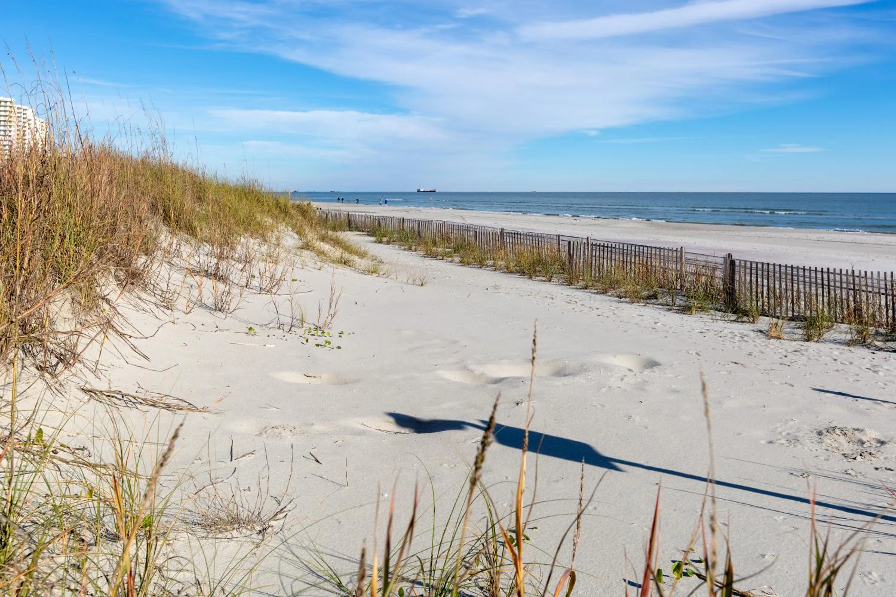 Beach in Windy Shores II