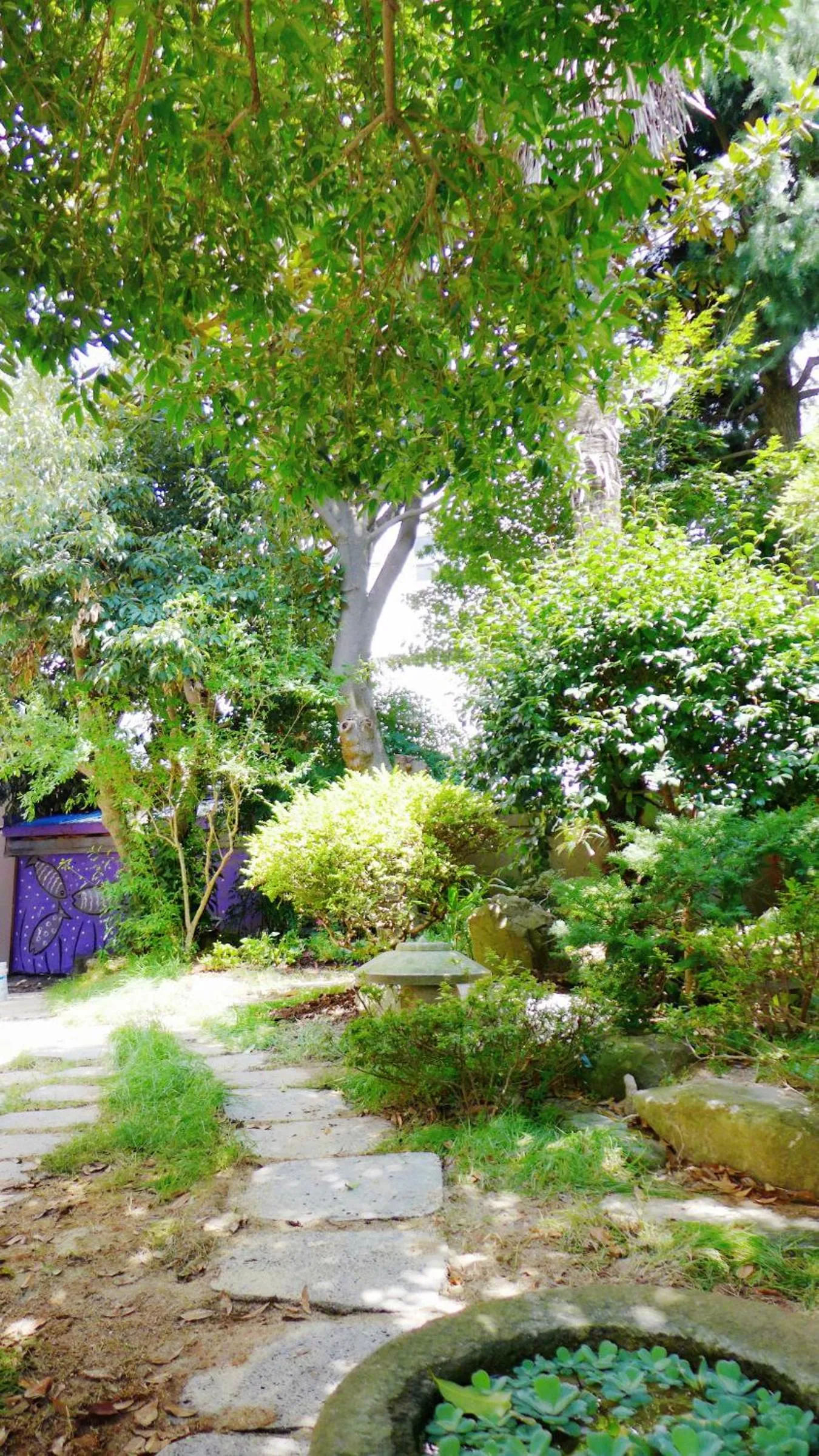 Garden in Picasso Guesthouse