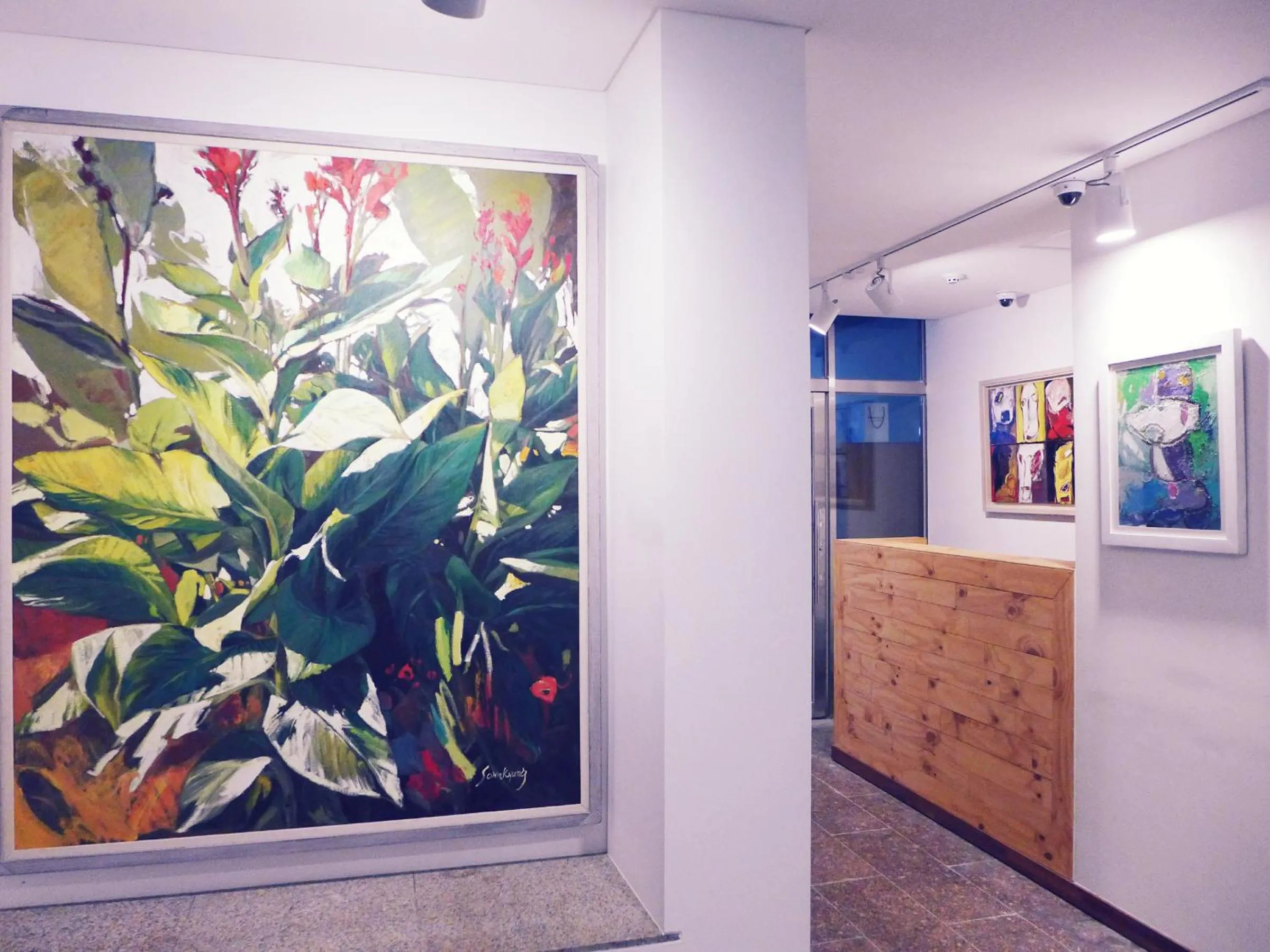 Activities in Picasso Guesthouse