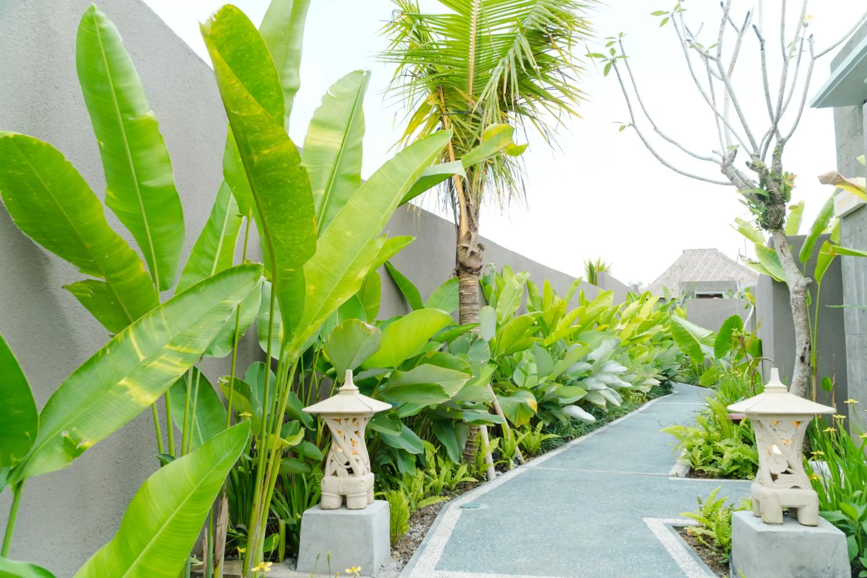Garden in Three Gold Luxury Private Villas