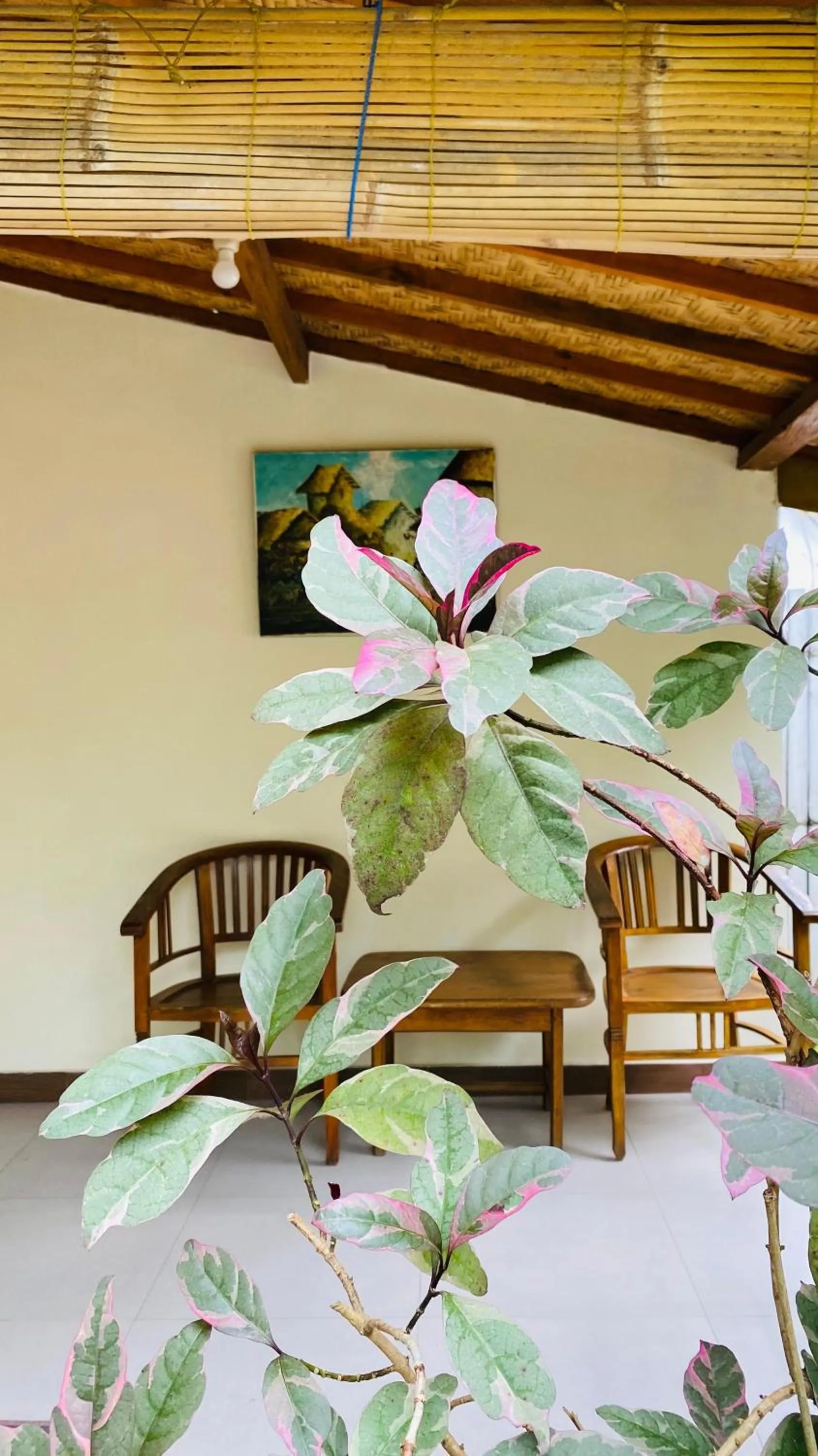 Balcony/Terrace in Balenta Bungalow Gili Trawangan
