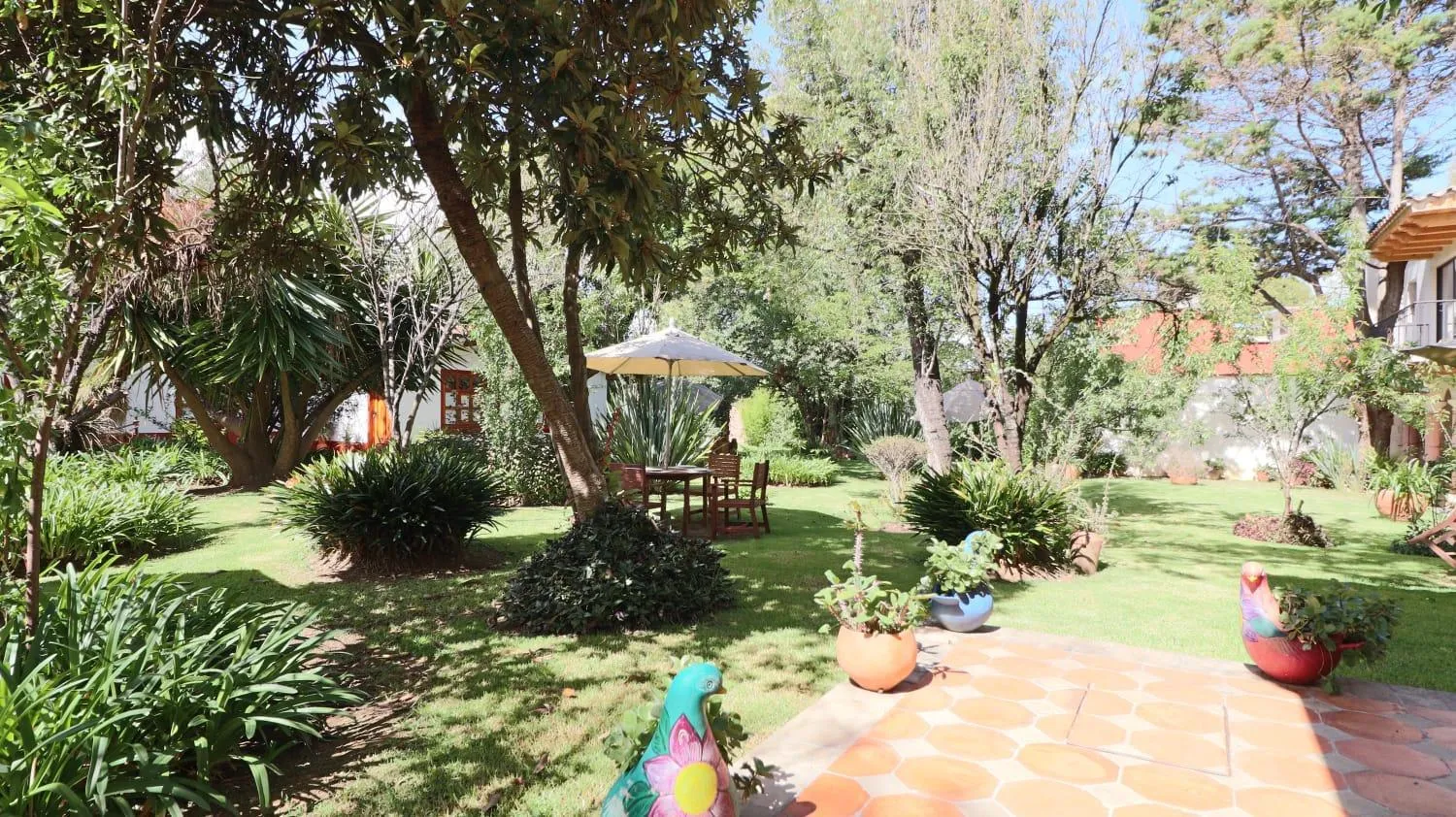 Garden in Hotel Casa de Familia de San Cristobal