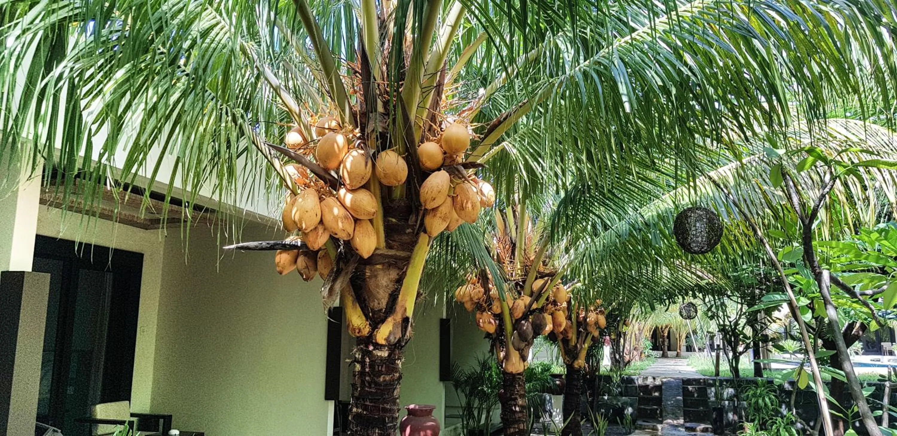 Garden in Kaluku Gili Resort